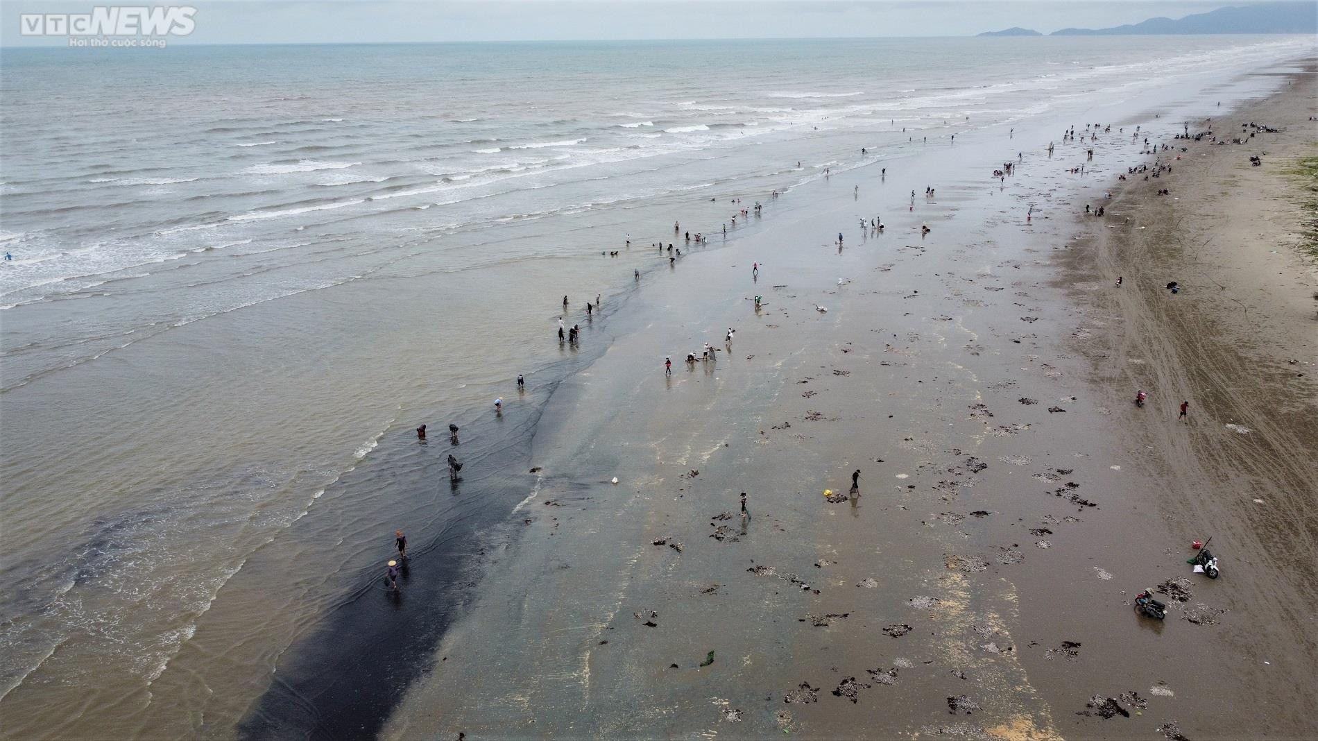 Ảnh: Người Hà Tĩnh đổ xô ra biển vớt sò lông sau mưa bão - 3
