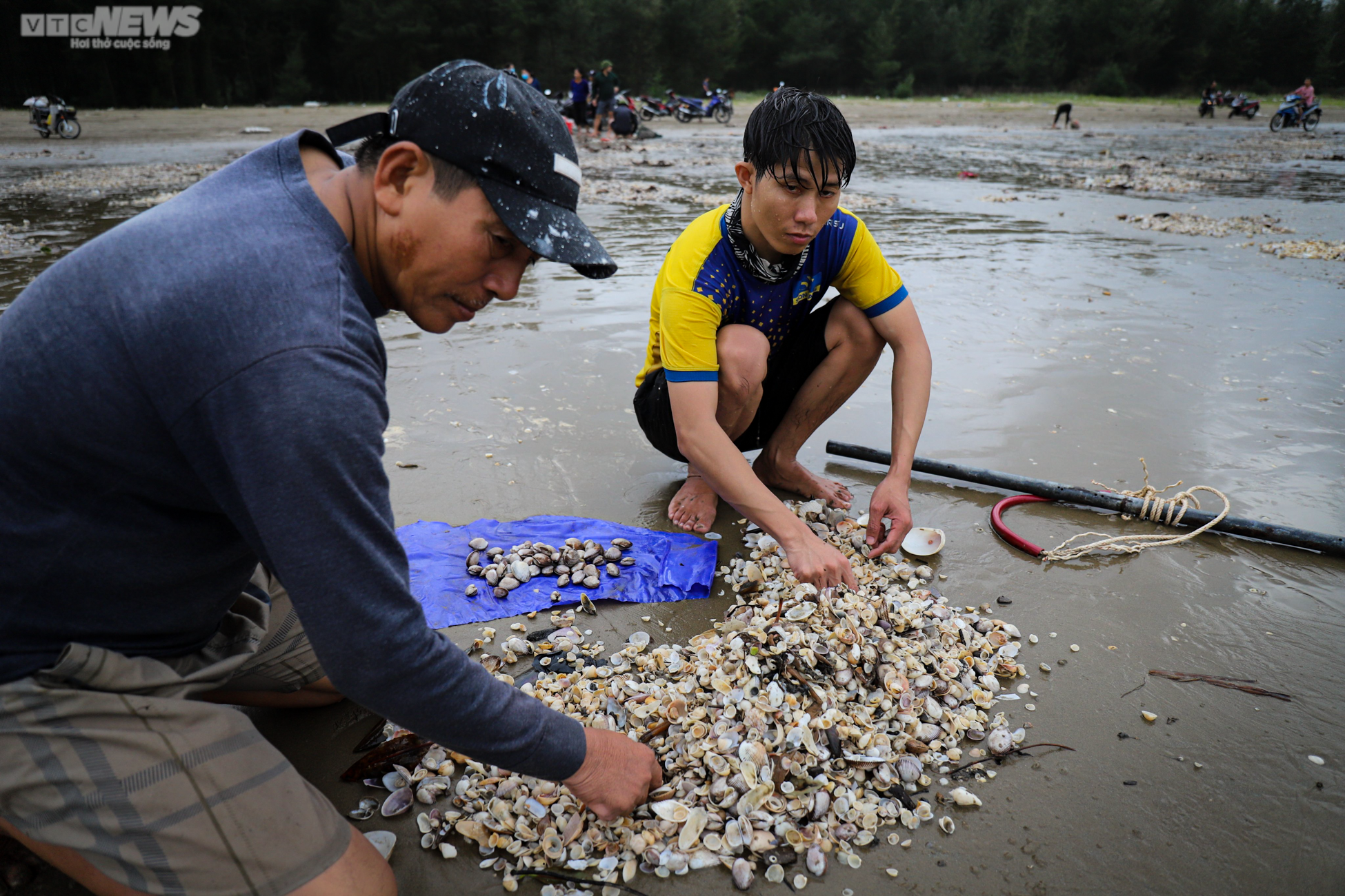 Ảnh: Người Hà Tĩnh đổ xô ra biển vớt sò lông sau mưa bão - 6
