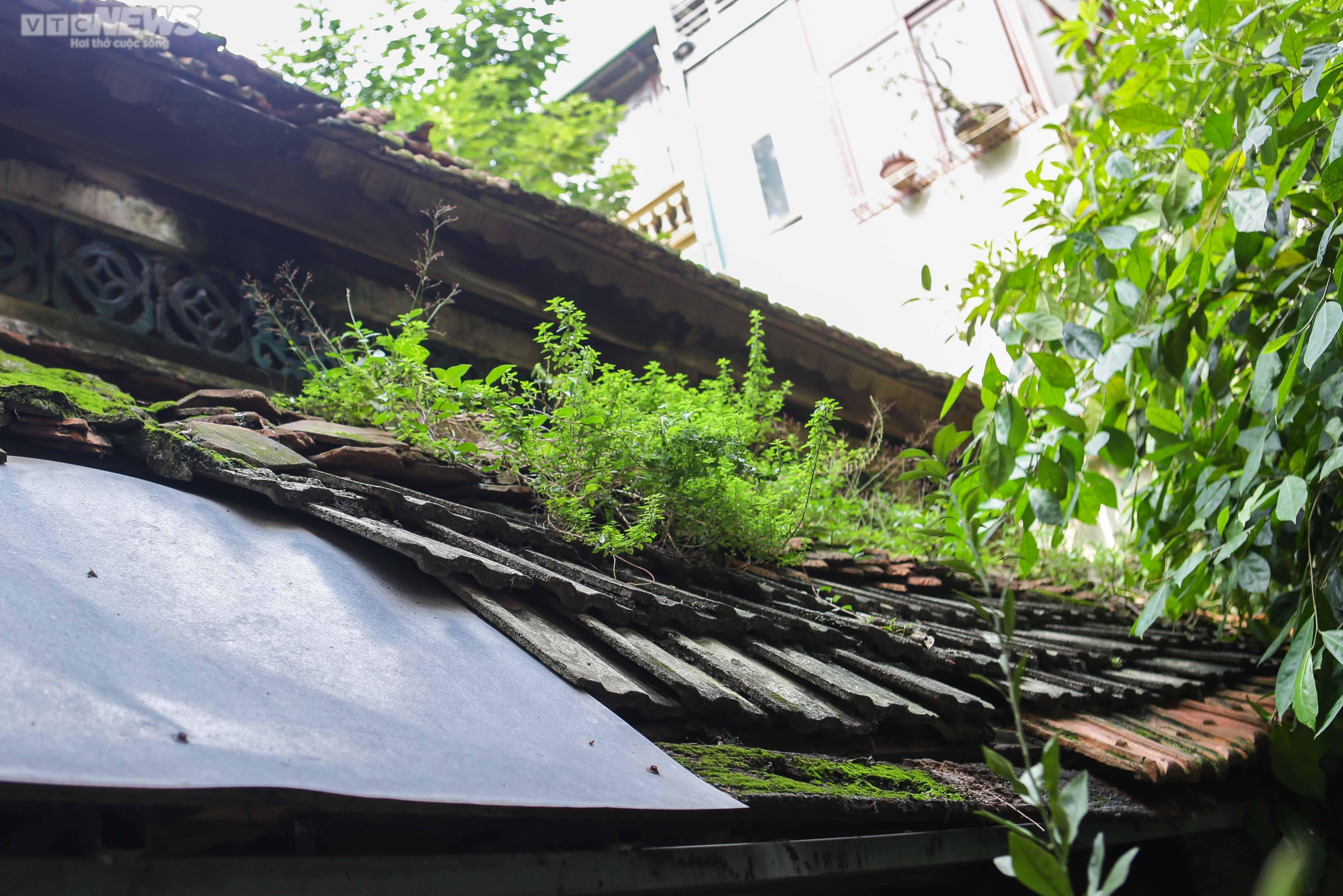 Ảnh: Ngôi đền cổ ở Hà Nội phải 'chống nạng', phủ bạt chờ ngày trùng tu - 7