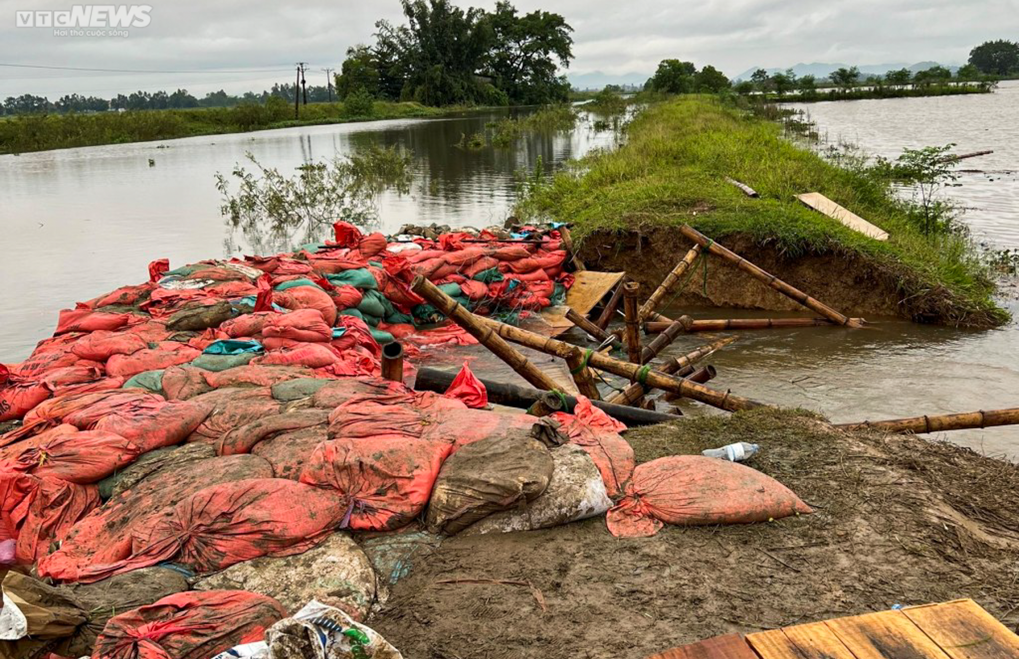 Gần 20 vạn hộ dân xứ Nghệ chìm trong biển lũ, hàng nghìn người đang bị cô lập - 3