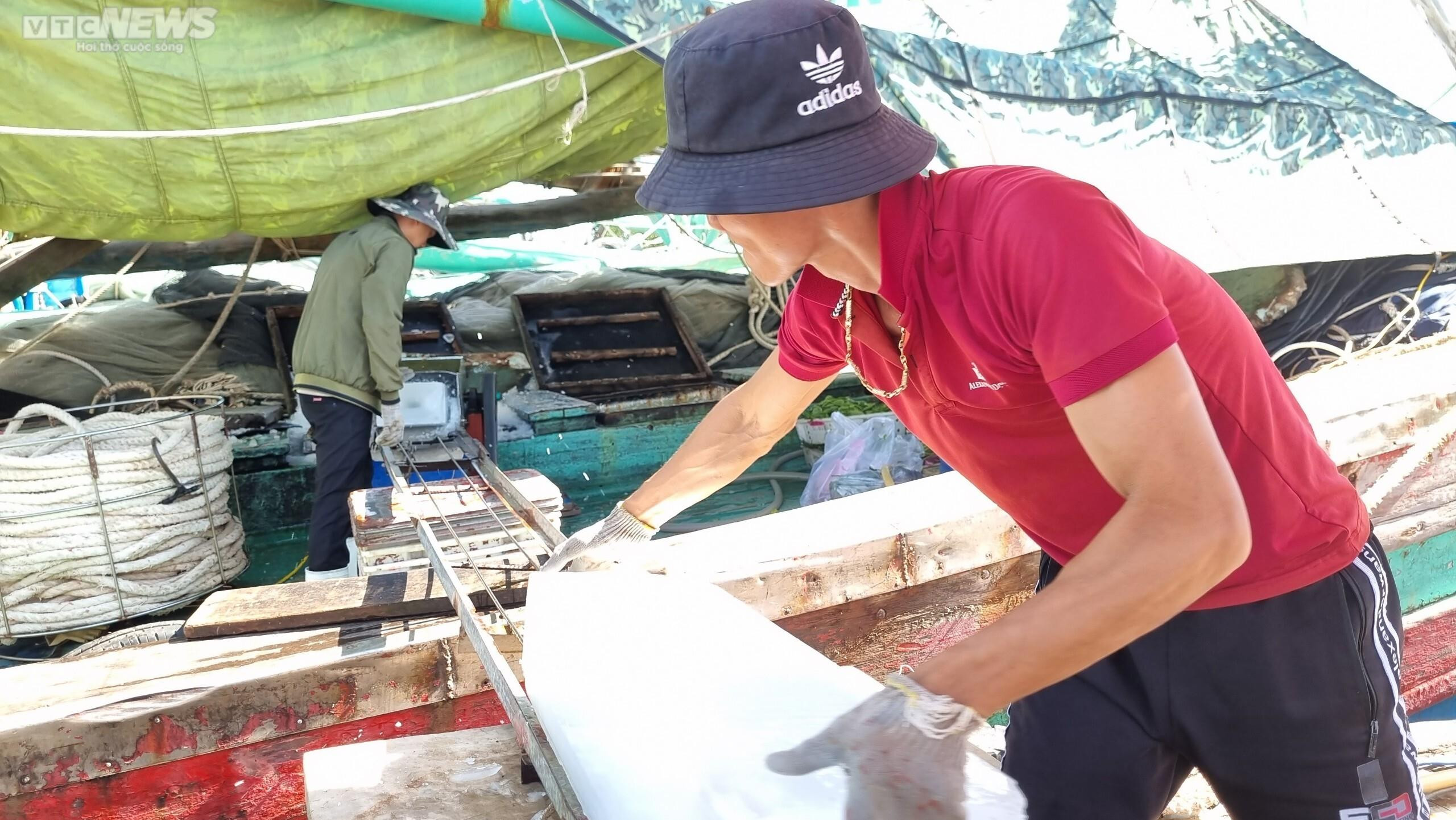 Bão tan, giá dầu 'hạ nhiệt', ngư dân Quảng Ngãi hối hả vươn khơi - 3