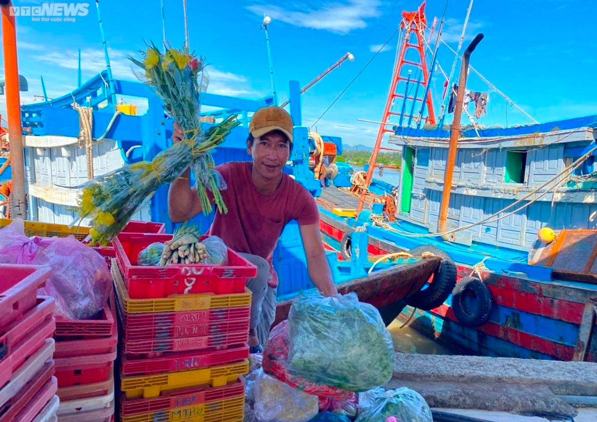 Bão tan, giá dầu 'hạ nhiệt', ngư dân Quảng Ngãi hối hả vươn khơi - 5