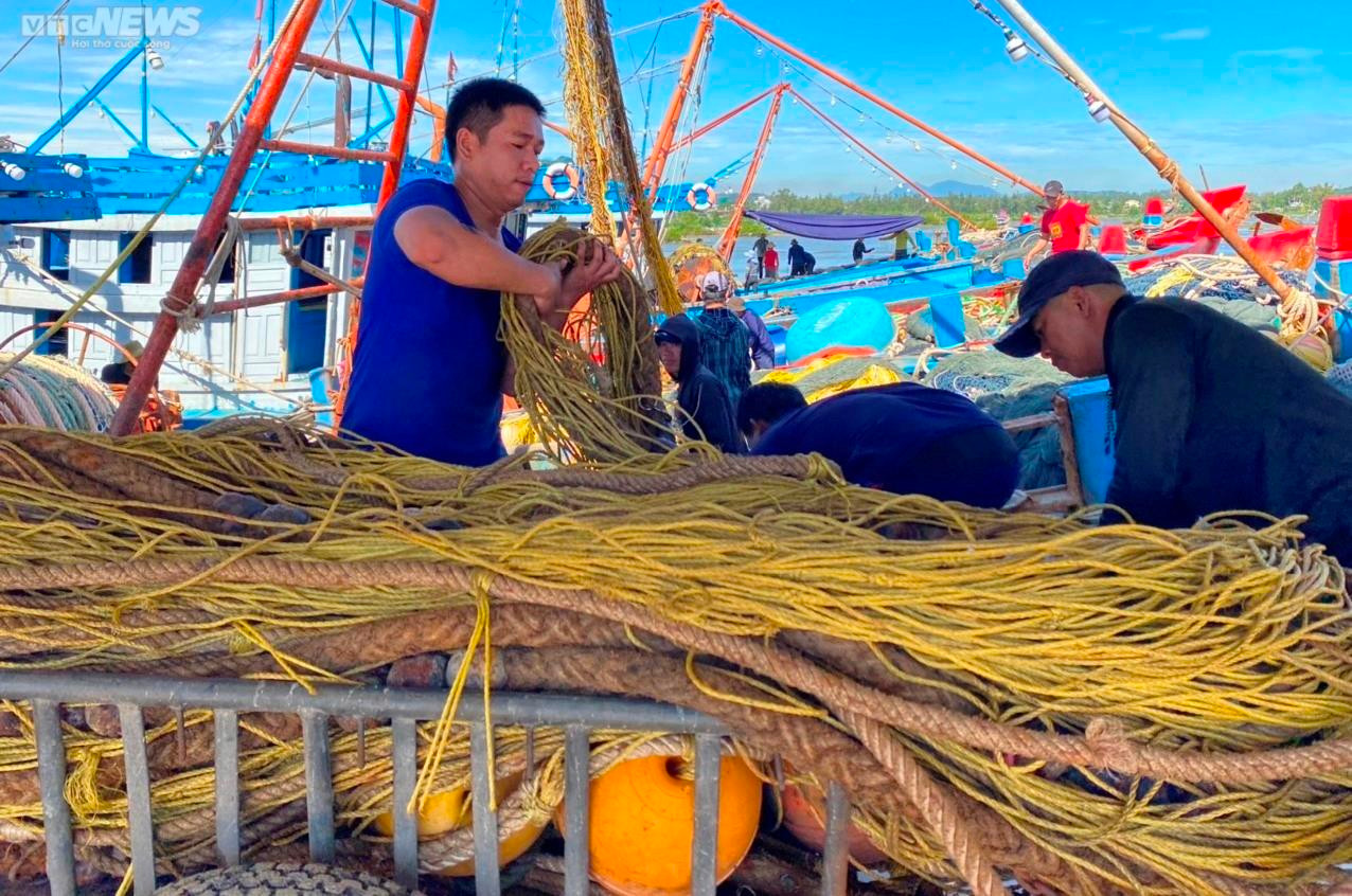 Bão tan, giá dầu 'hạ nhiệt', ngư dân Quảng Ngãi hối hả vươn khơi - 6