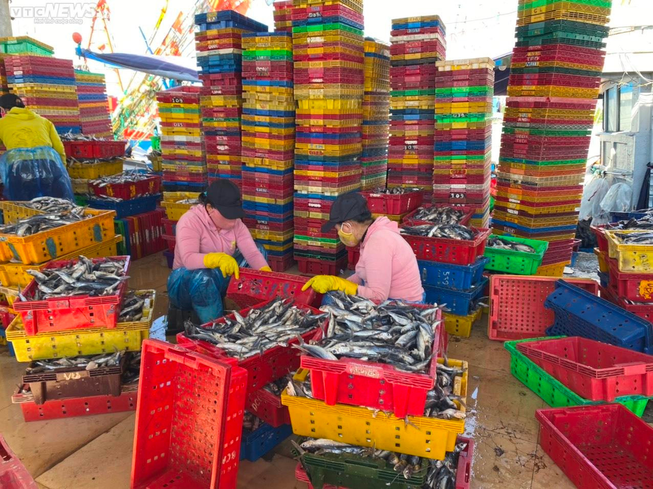 Bão tan, giá dầu 'hạ nhiệt', ngư dân Quảng Ngãi hối hả vươn khơi - 9