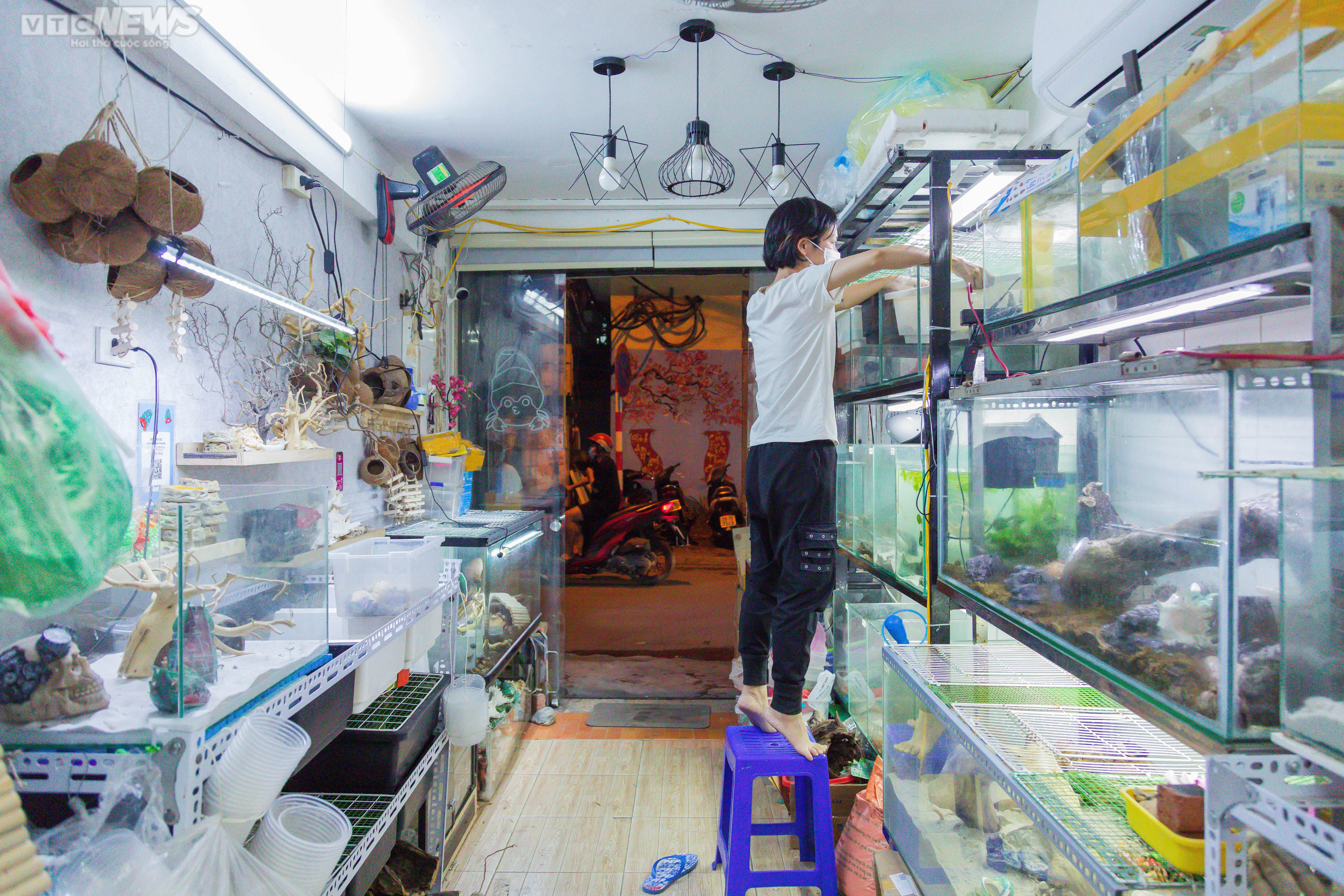 Bộ sưu tập ốc mượn hồn sặc sỡ sắc màu của cô gái 9X Hà Nội - 13