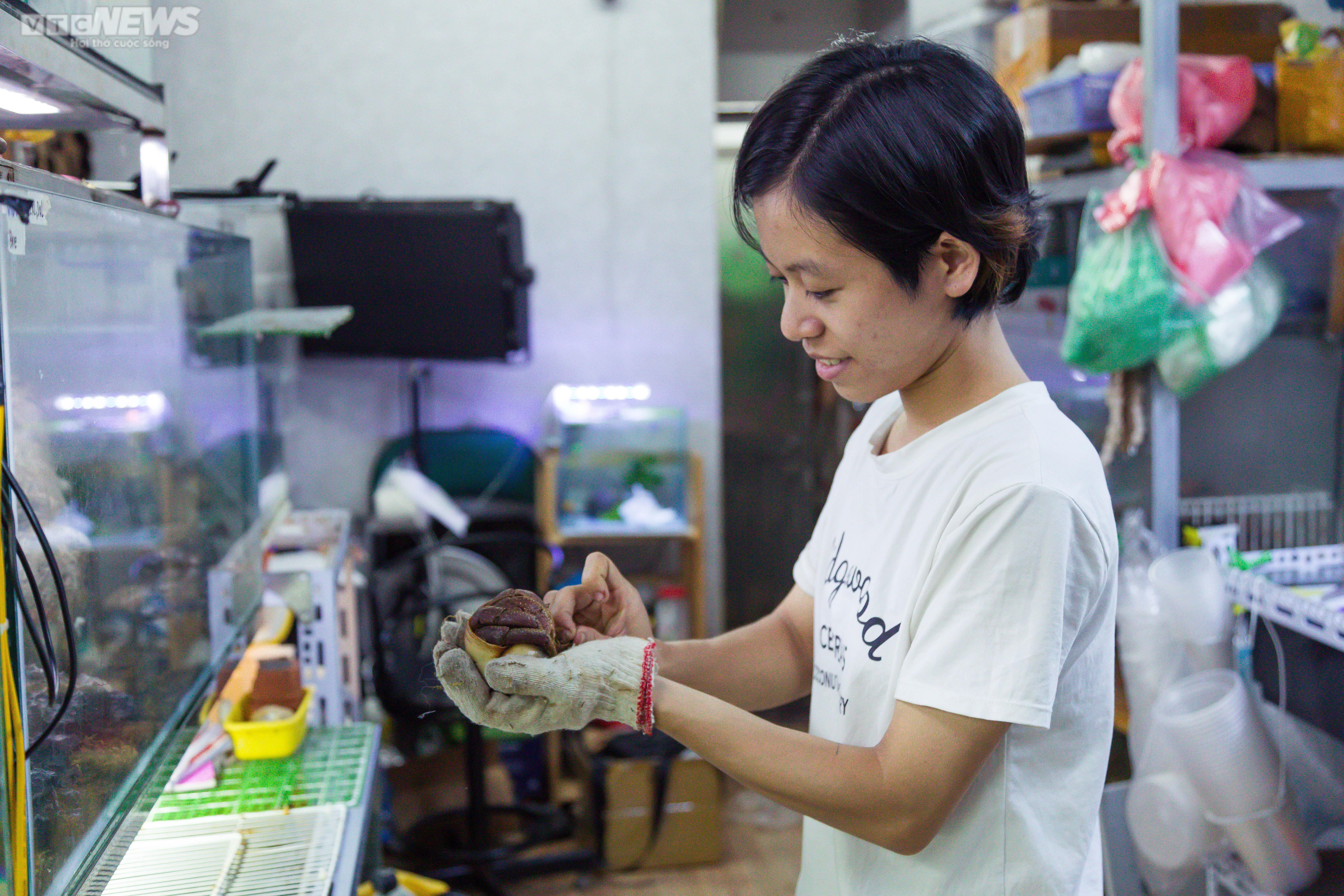 Bộ sưu tập ốc mượn hồn sặc sỡ sắc màu của cô gái 9X Hà Nội - 9