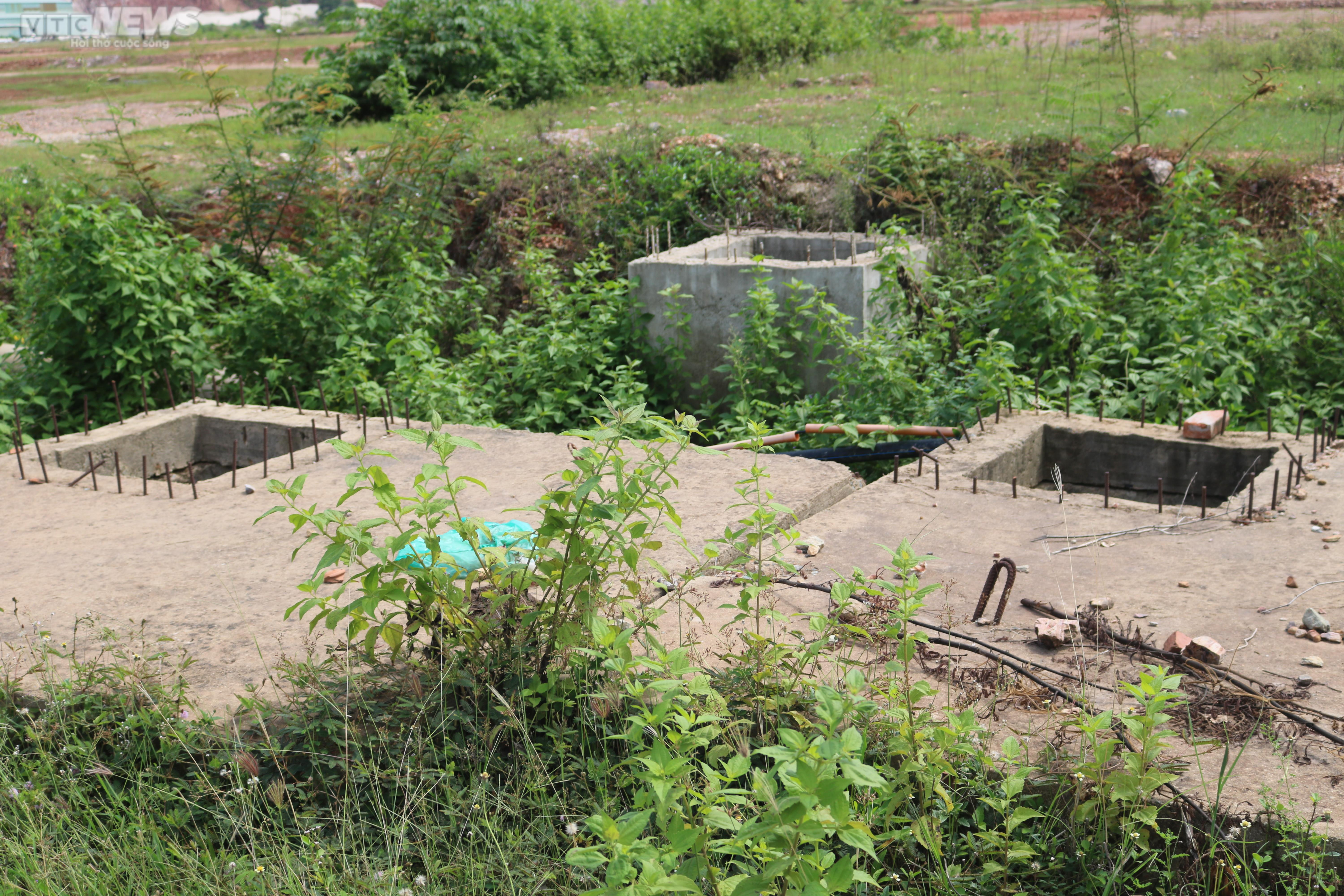 Bình Định: Dự án trên 'đất vàng' sau 8 năm khởi công vẫn ngổn ngang, hoang hóa - 14