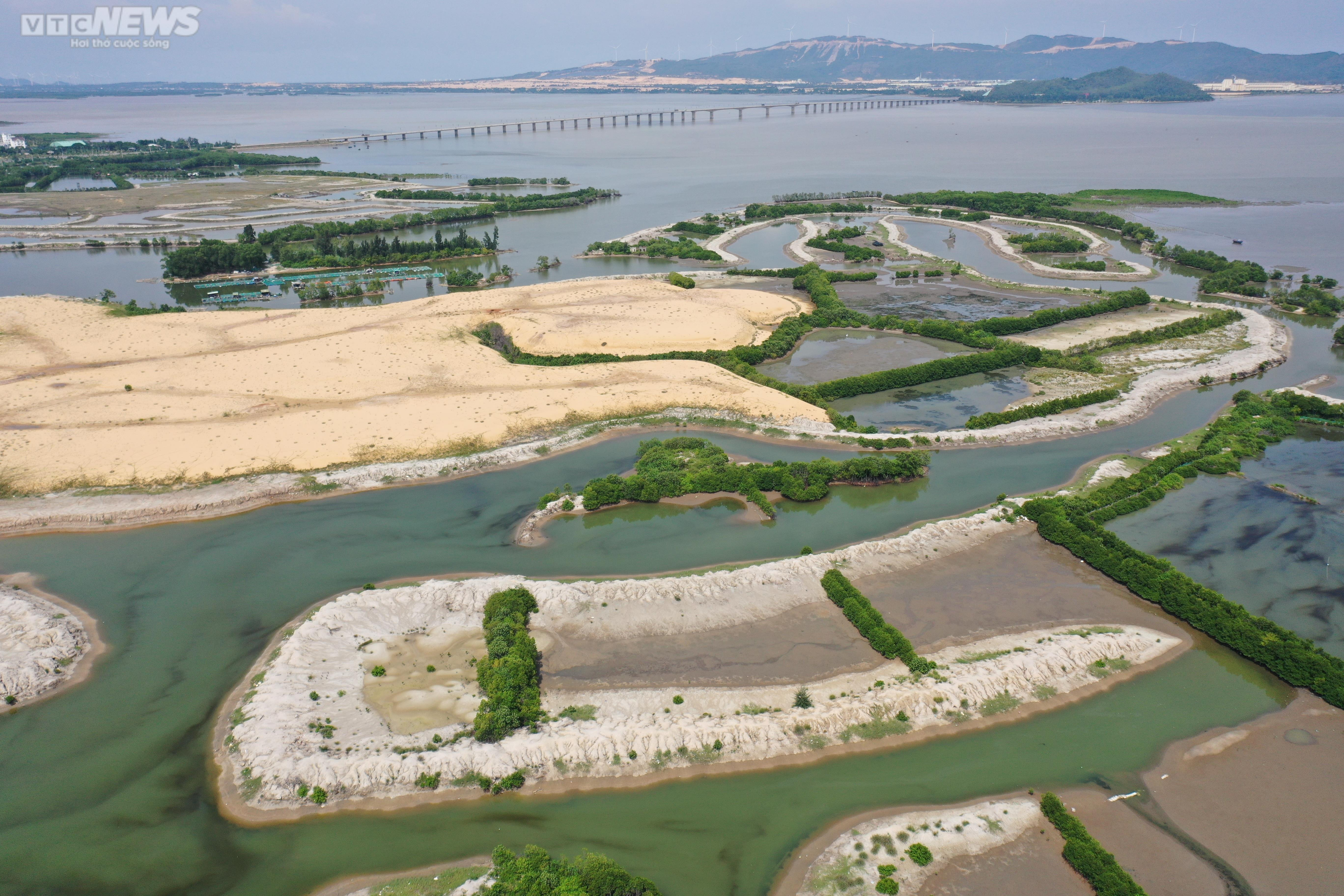 Cận cảnh dự án nghìn tỷ nợ tiền thuê đất, chậm tiến độ ở Bình Định - 6