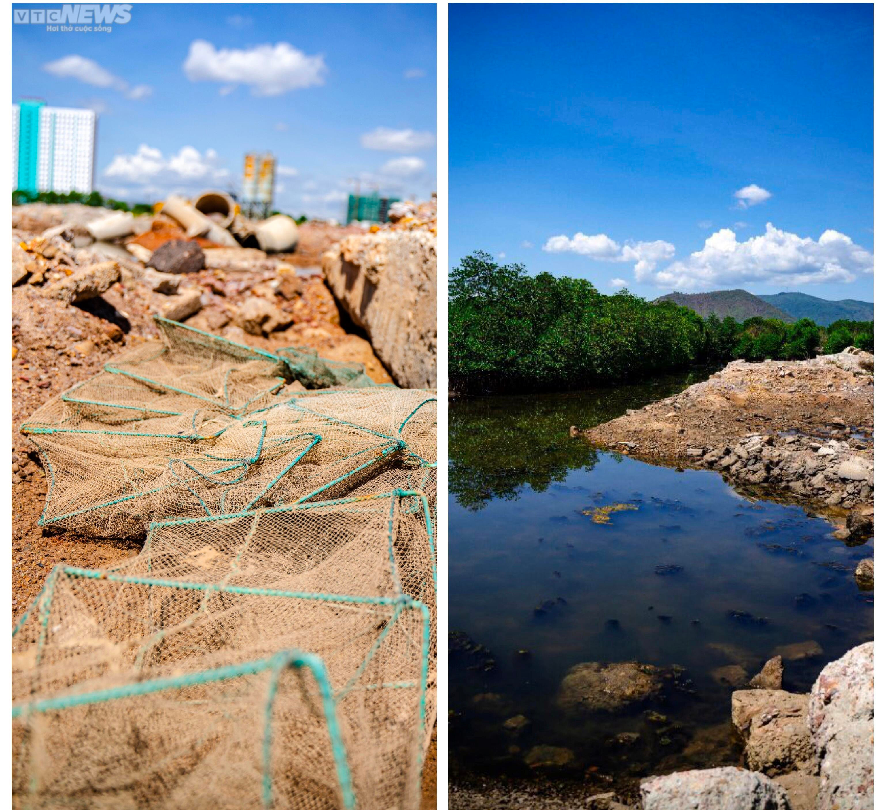 Cận cảnh dự án nghìn tỷ nợ tiền thuê đất, chậm tiến độ ở Bình Định - 11