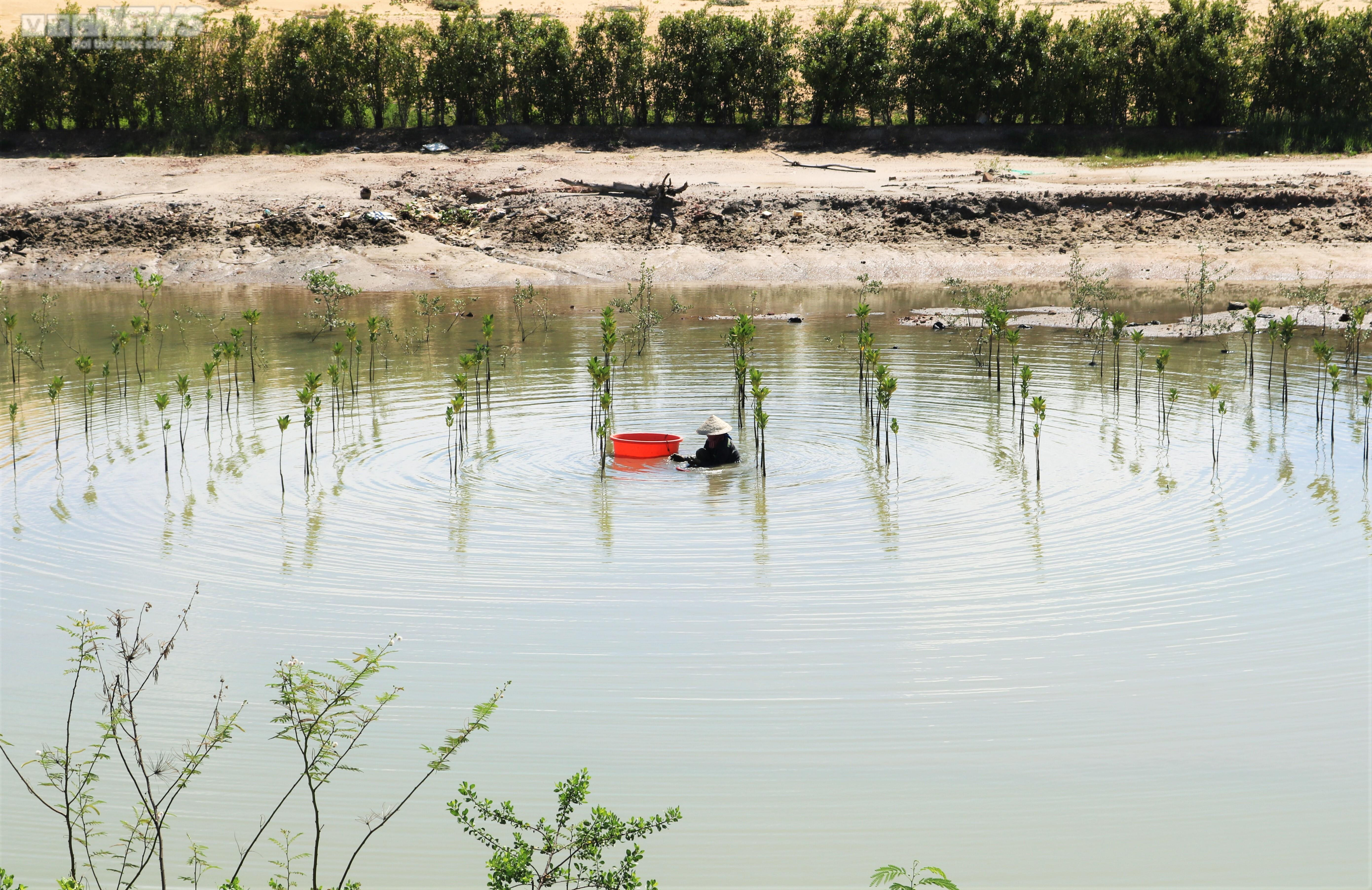 Cận cảnh dự án nghìn tỷ nợ tiền thuê đất, chậm tiến độ ở Bình Định - 12