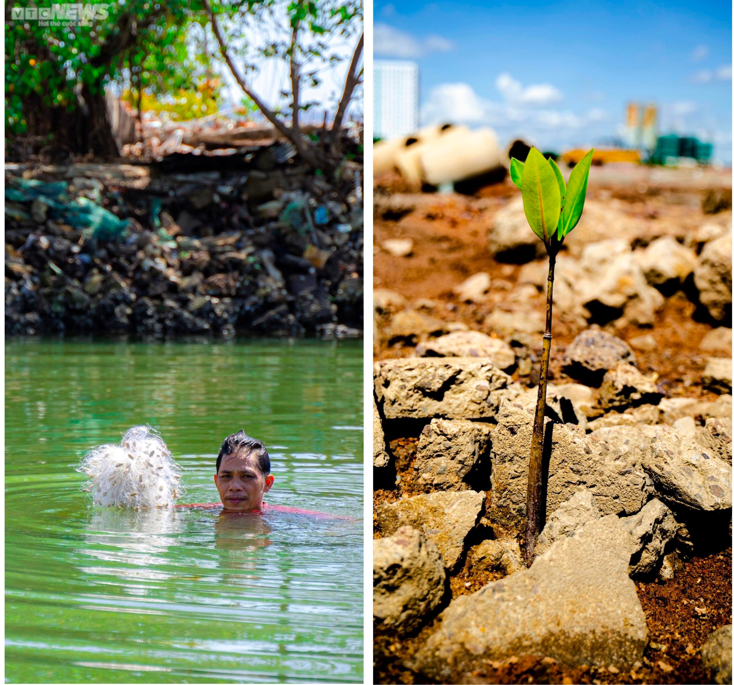 Cận cảnh dự án nghìn tỷ nợ tiền thuê đất, chậm tiến độ ở Bình Định - 4