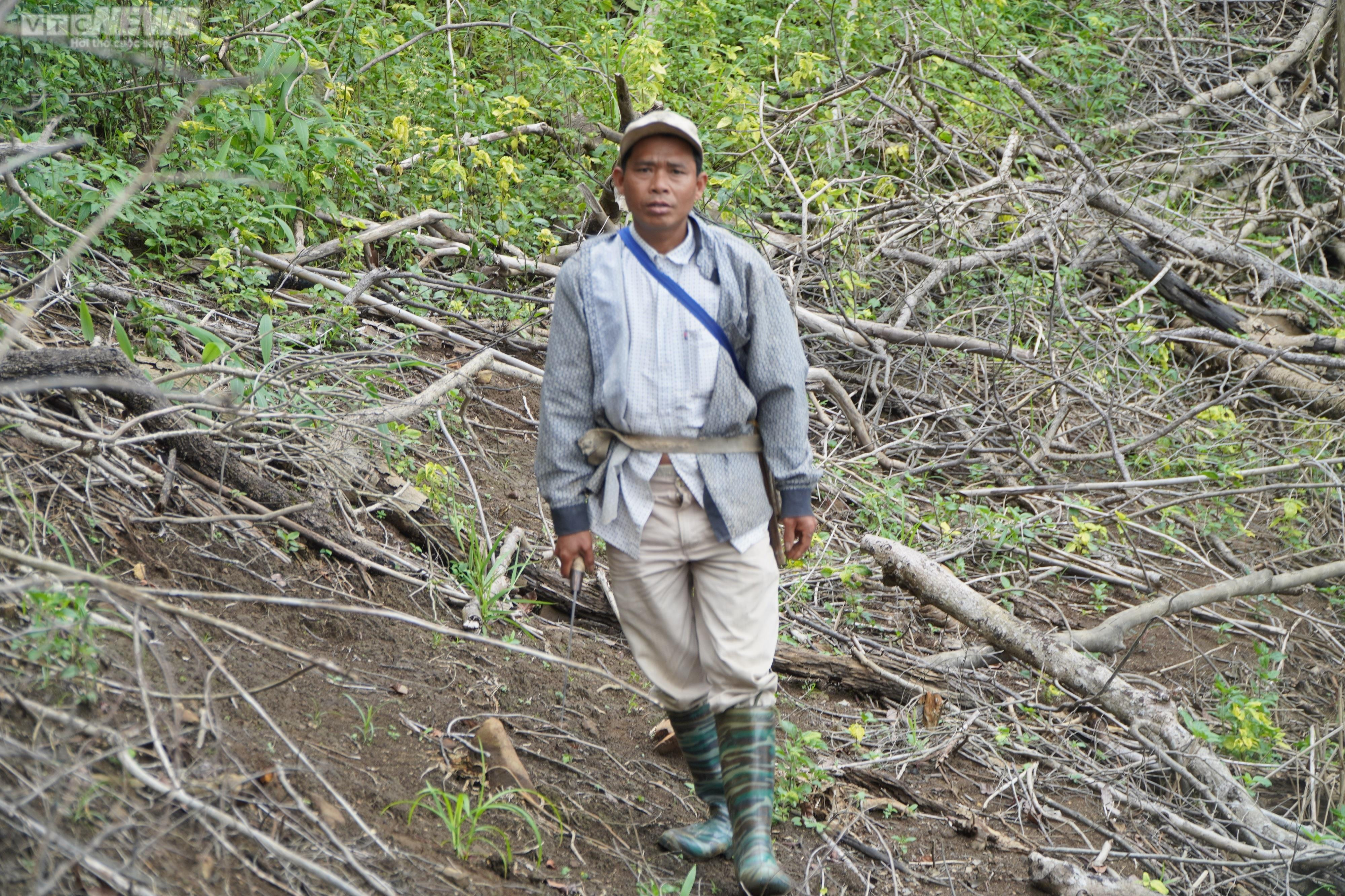 Cận cảnh hàng chục ha rừng chết khô do thủy điện tích nước - 13