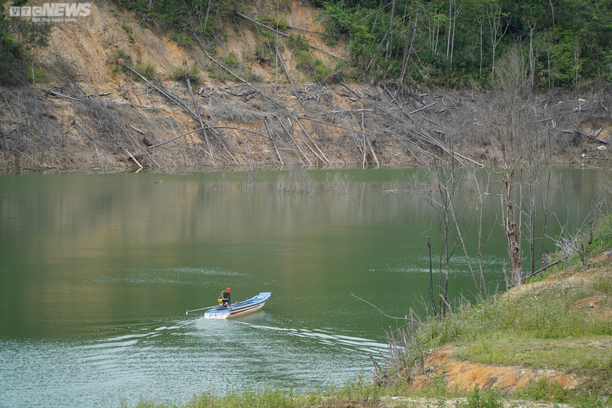 Cận cảnh hàng chục ha rừng chết khô do thủy điện tích nước - 8