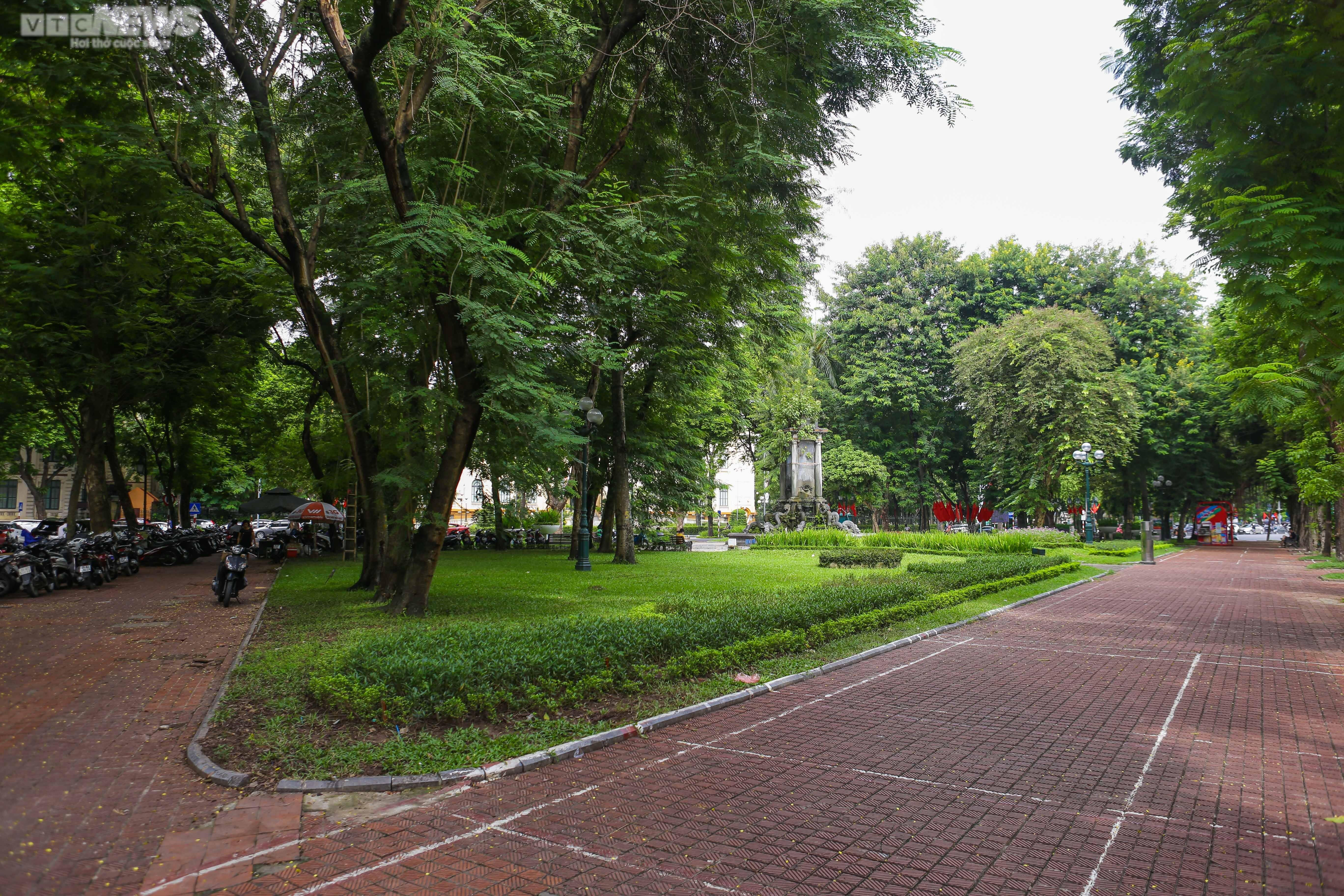 Ảnh: Hiện trạng vườn hoa Con Cóc 120 tuổi trước ngày 'thay áo mới' - 12