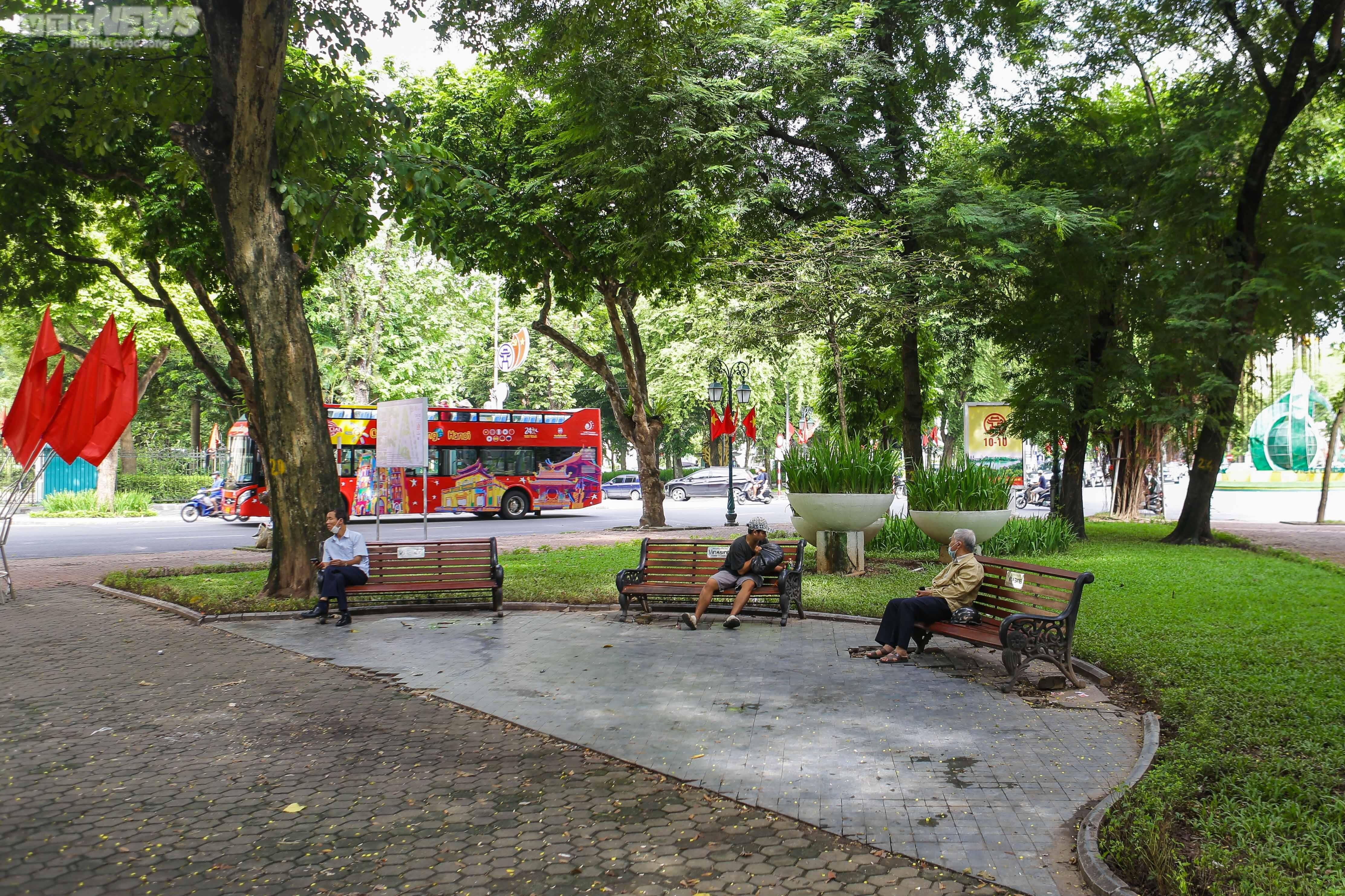 Ảnh: Hiện trạng vườn hoa Con Cóc 120 tuổi trước ngày 'thay áo mới' - 10