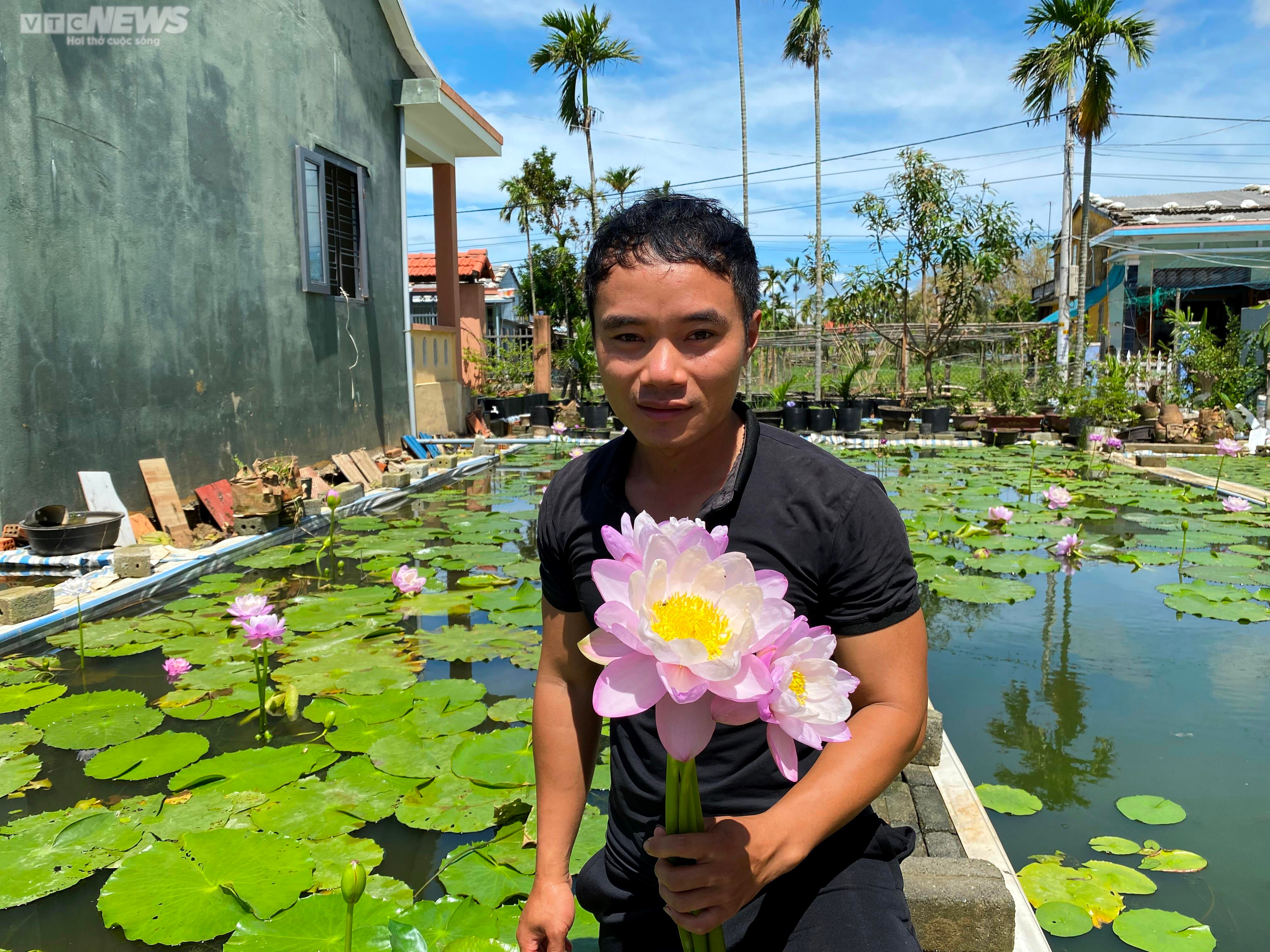 'Cất' bằng đại học, chàng kỹ sư địa chất Quảng Nam bỏ phố về quê trồng hoa súng - 11