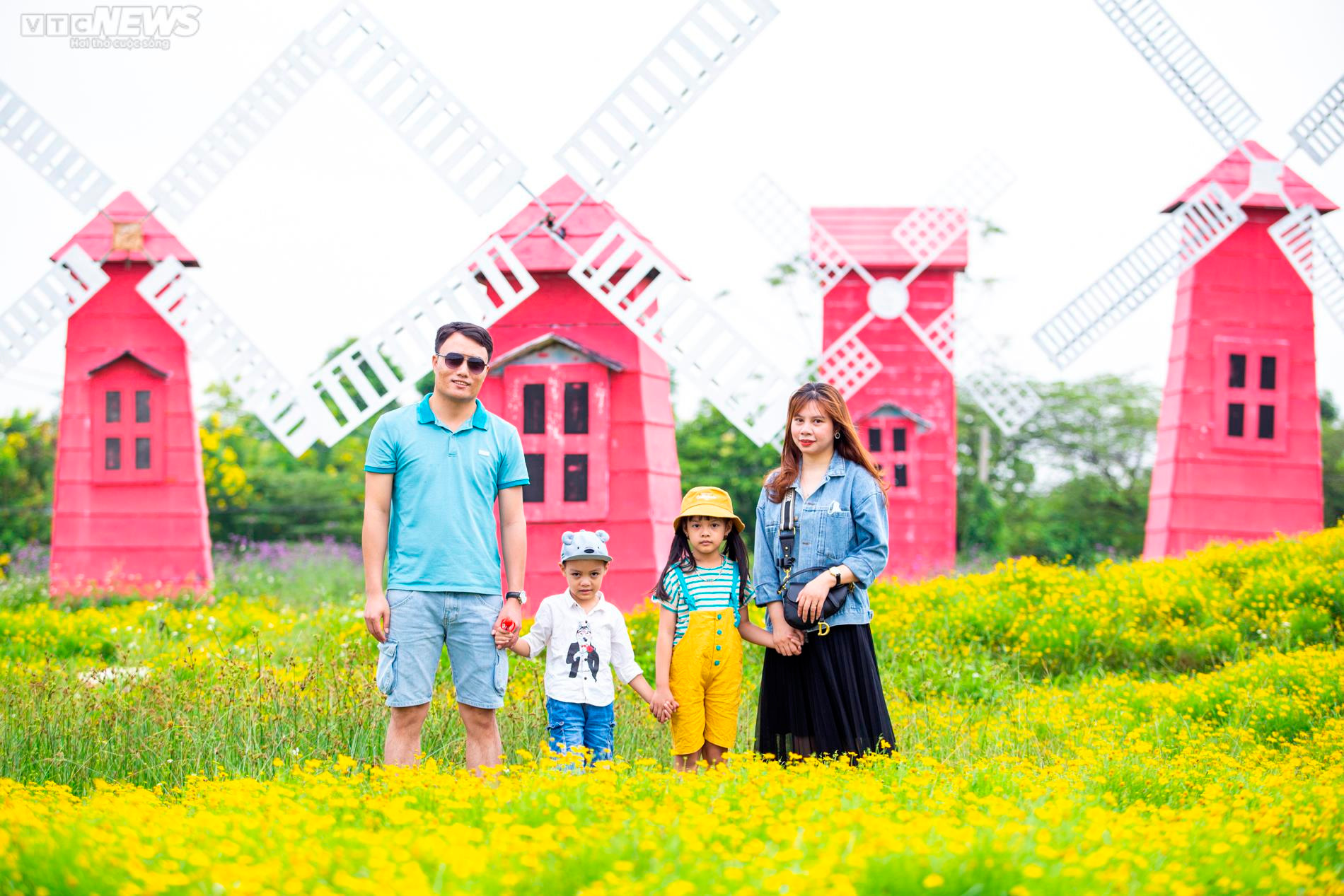 Cánh đồng cúc sao băng thu hút giới trẻ Hà Nội đến check-in ngày cuối tuần - 10