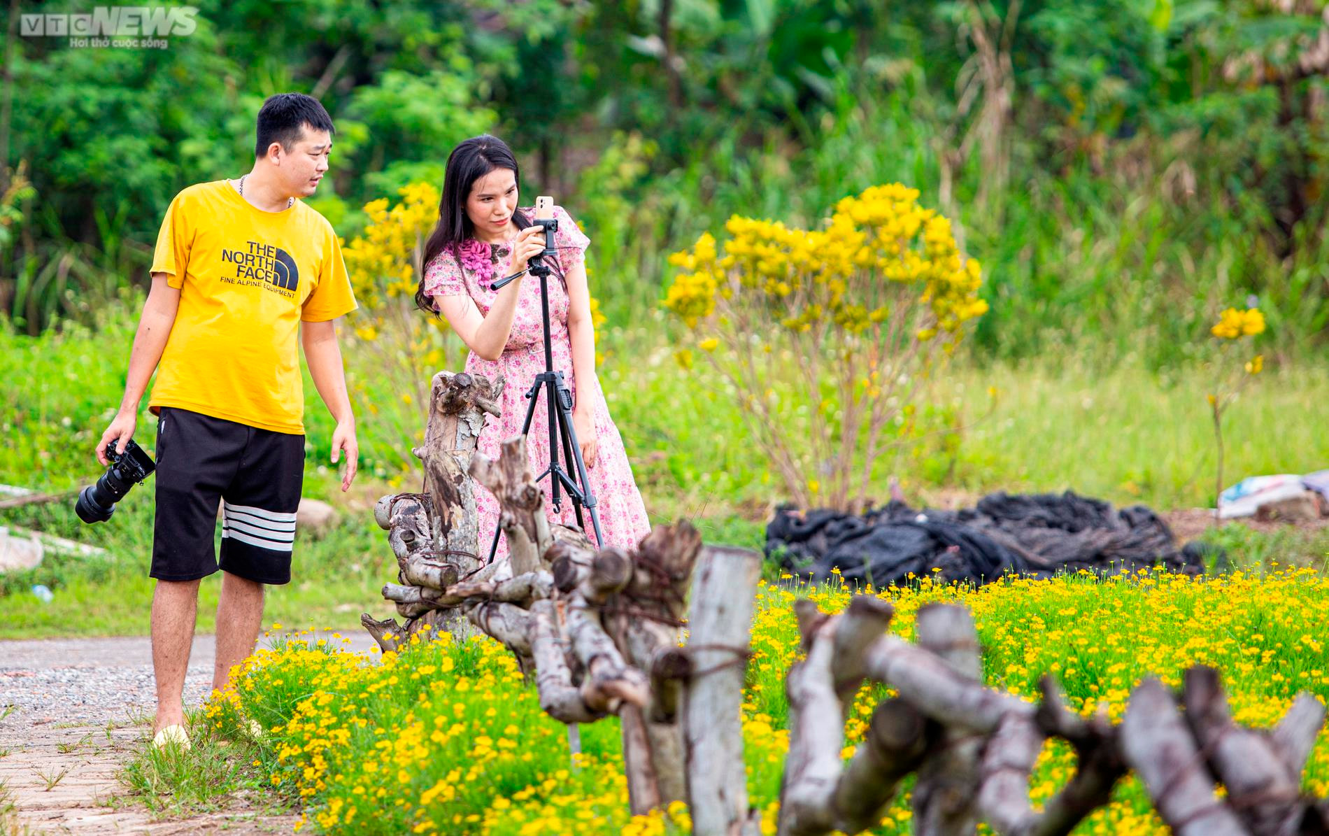 Cánh đồng cúc sao băng thu hút giới trẻ Hà Nội đến check-in ngày cuối tuần - 12