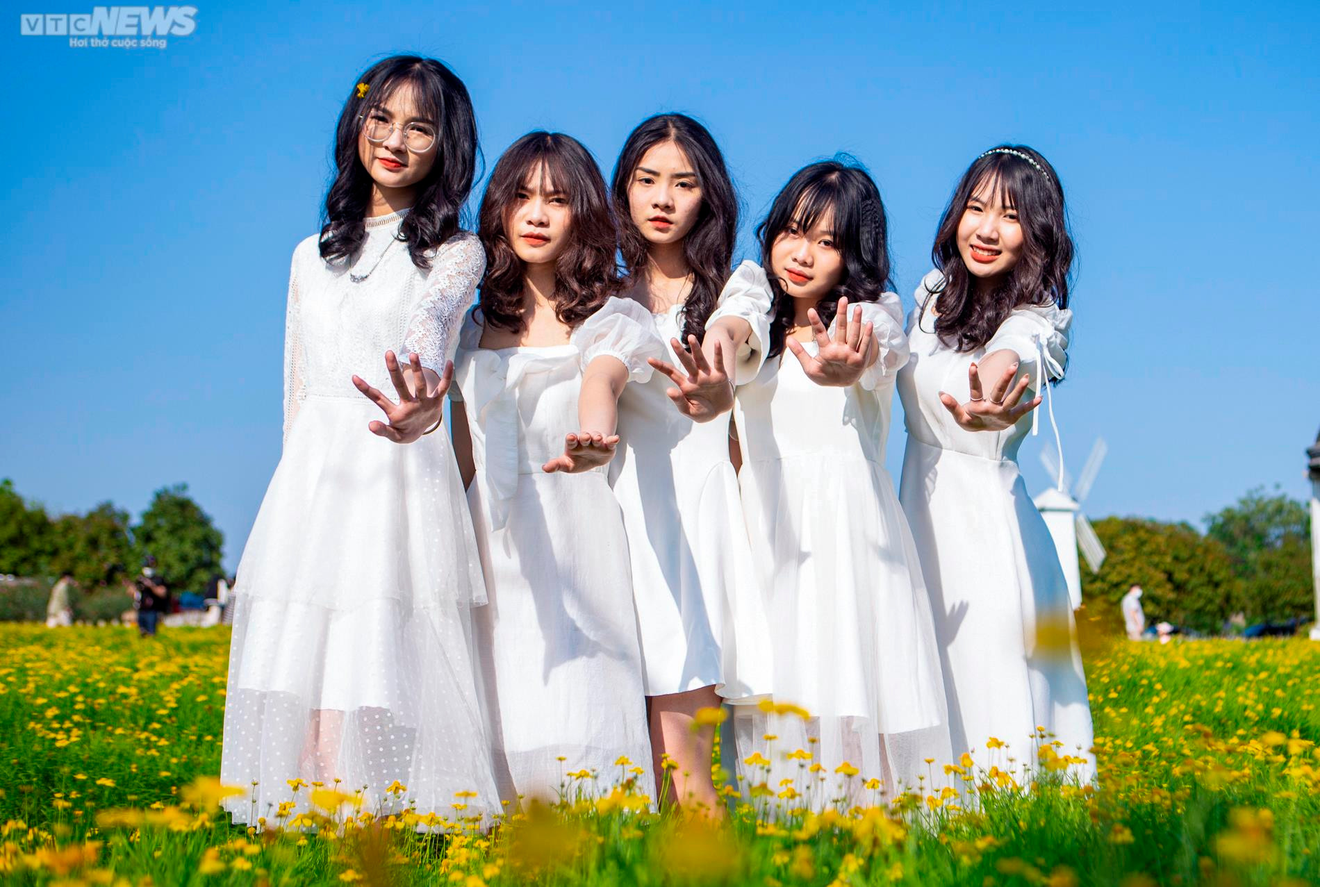 Cánh đồng cúc sao băng thu hút giới trẻ Hà Nội đến check-in ngày cuối tuần - 13