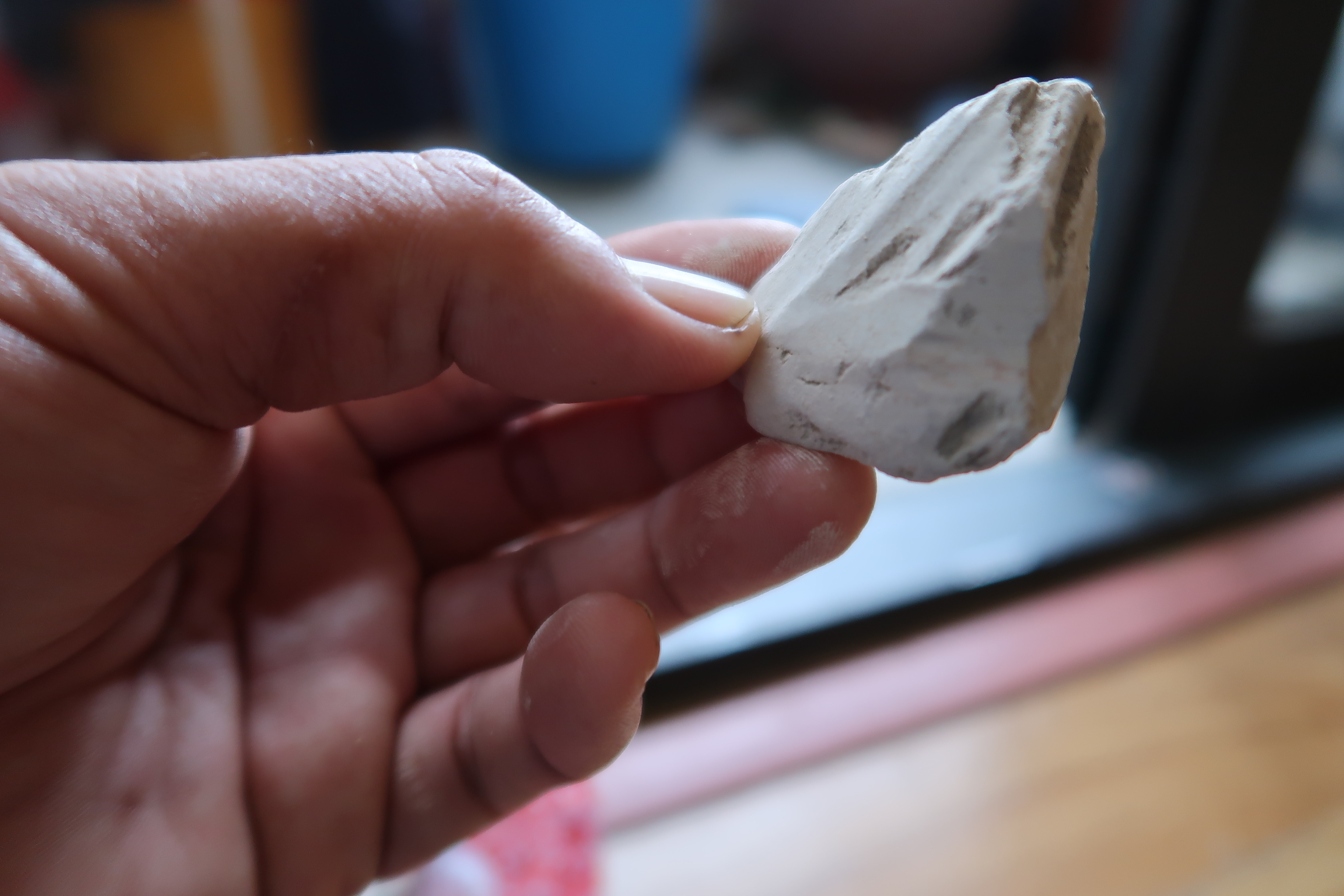 Đi tìm người cuối cùng chế biến món ăn đất hun khói ở Vĩnh Phúc - 4