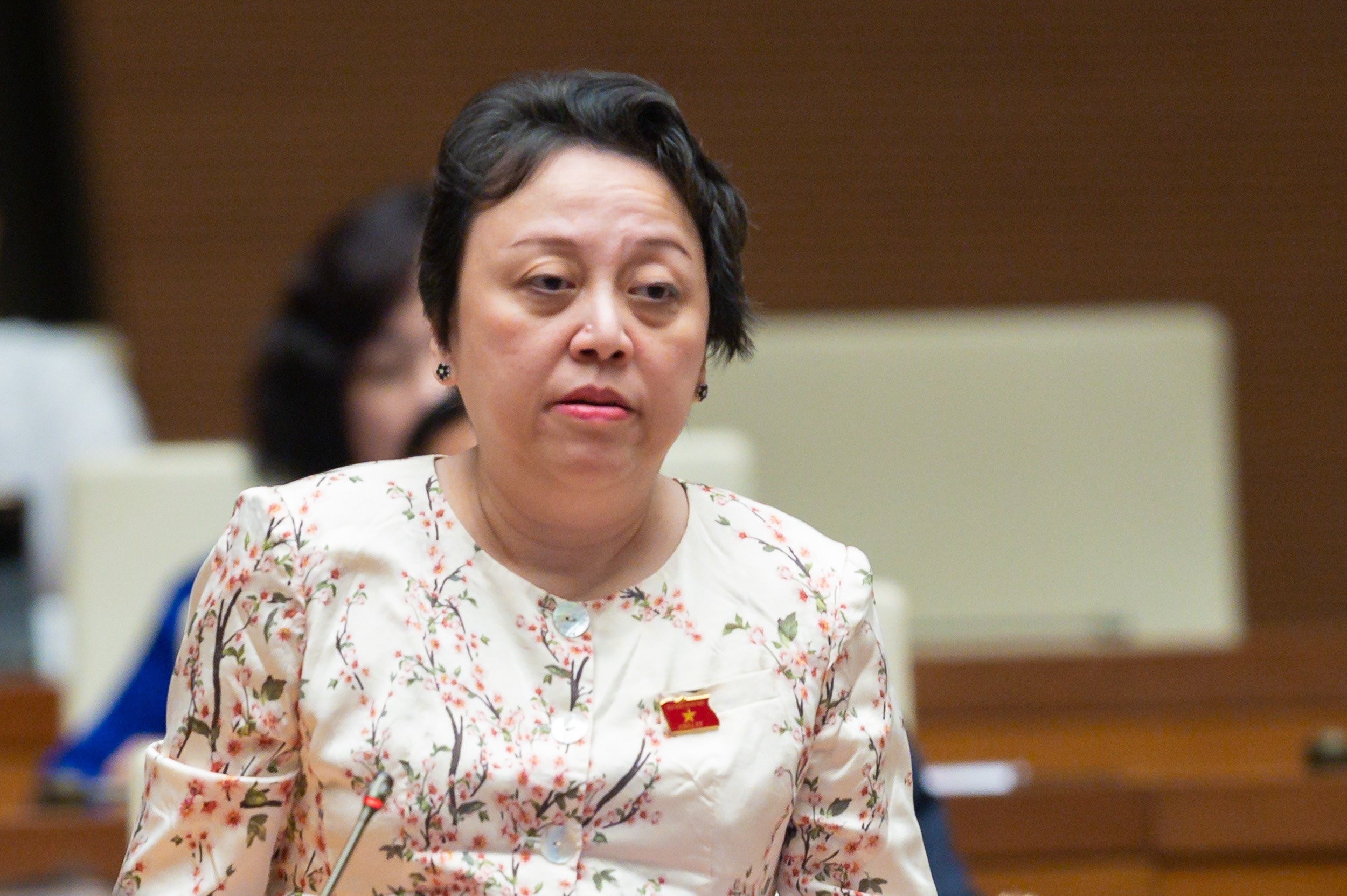 10 phát biểu ấn tượng của đại biểu Quốc hội tại phiên thảo luận kinh tế, xã hội - 8