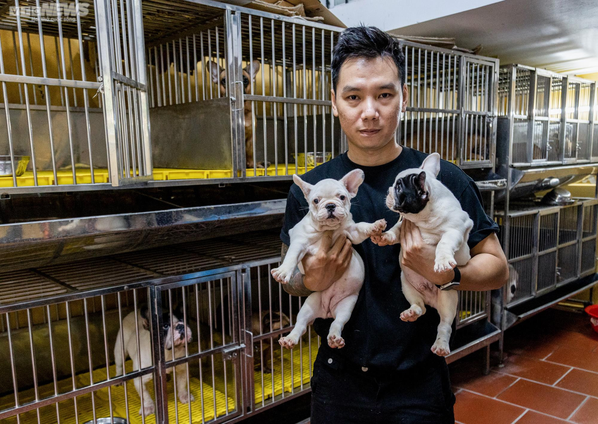 Ảnh: Chăm sóc chó Bull Pháp, 9X kiếm tiền tỷ mỗi năm - 13