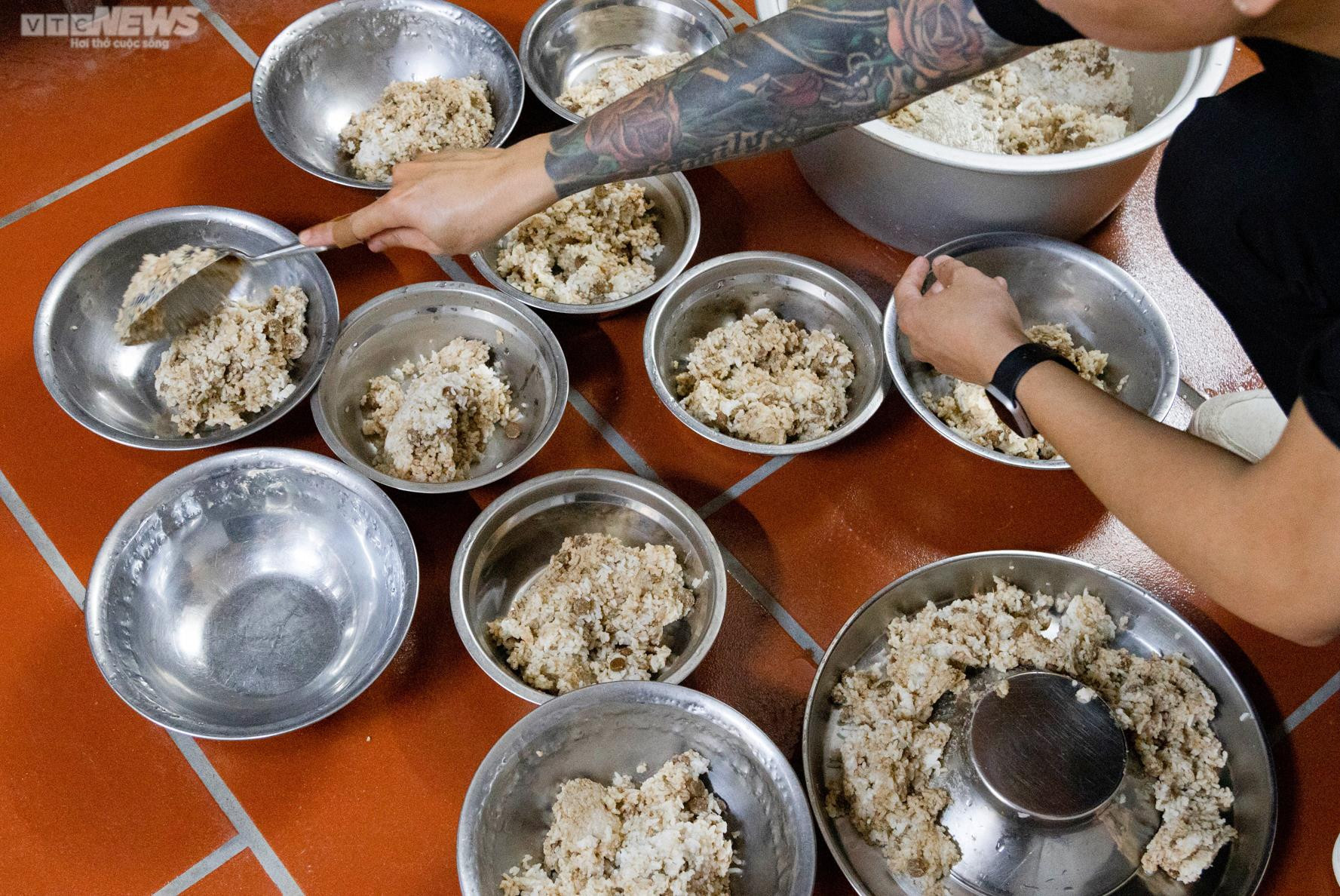 Ảnh: Chăm sóc chó Bull Pháp, 9X kiếm tiền tỷ mỗi năm - 9