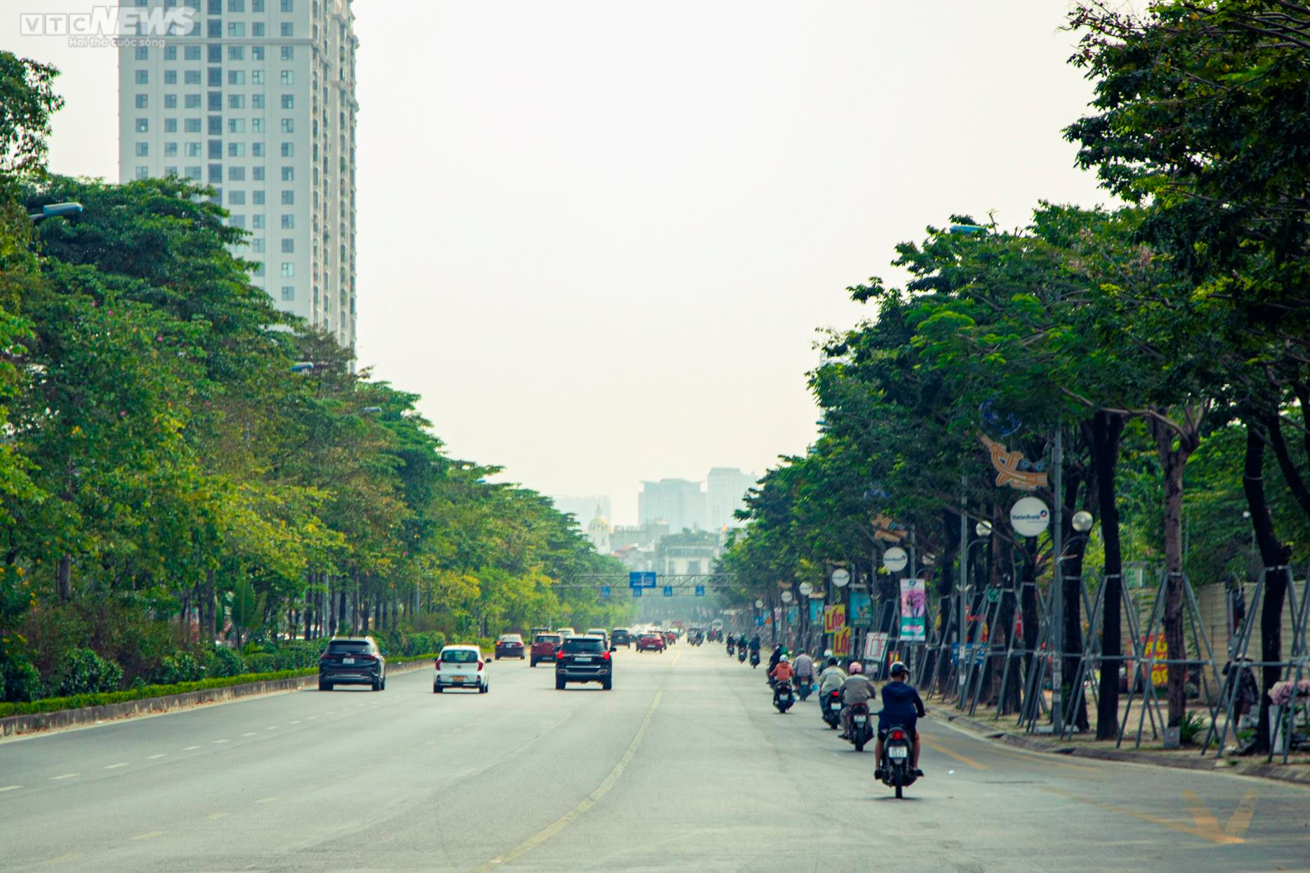 Xót xa 'gông cùm' sắt siết chặt hàng cây xanh đang phát triển - 1