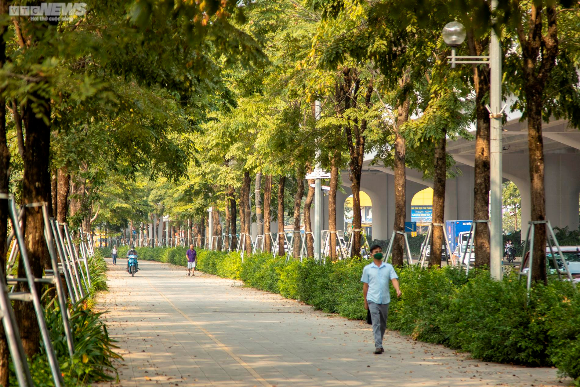 Xót xa 'gông cùm' sắt siết chặt hàng cây xanh đang phát triển - 10