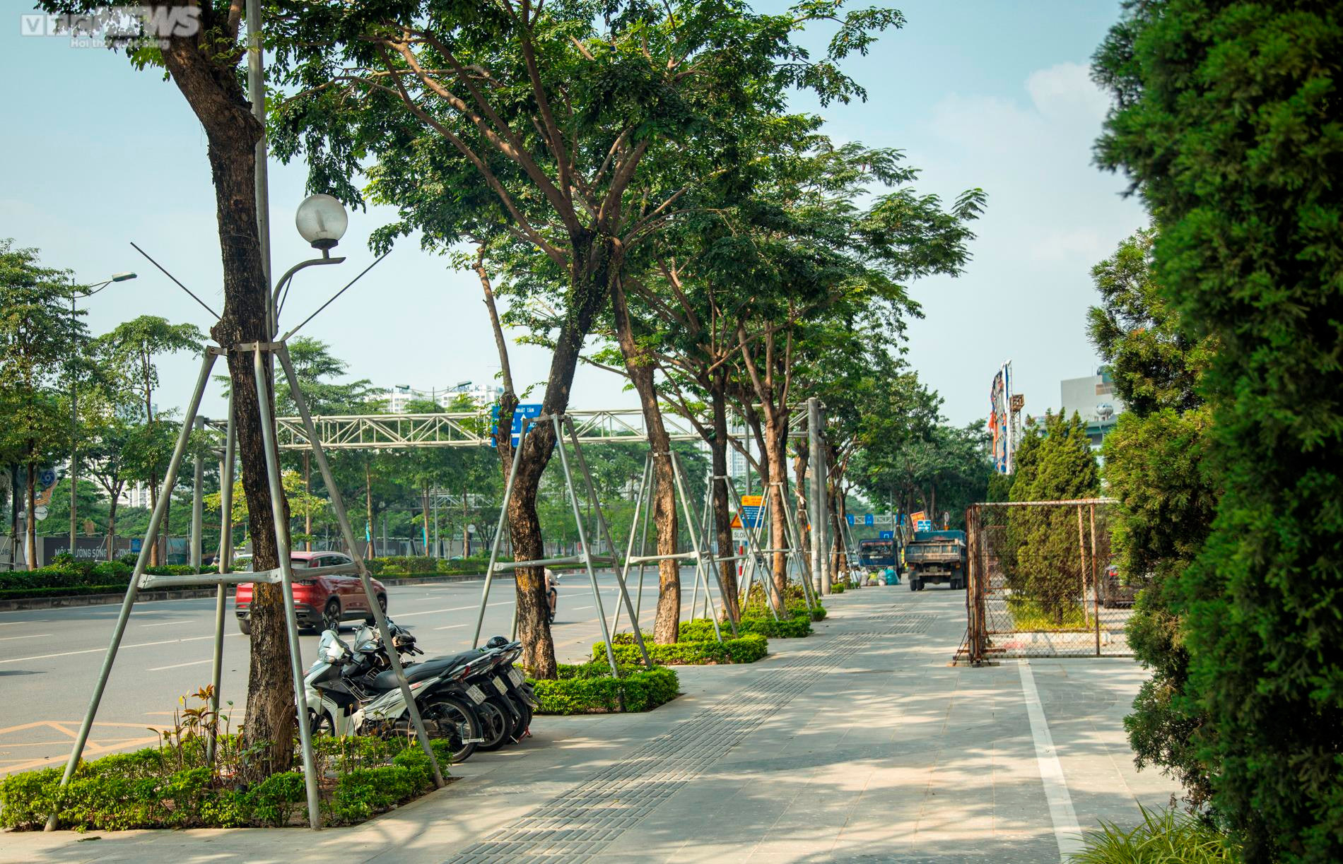 Xót xa 'gông cùm' sắt siết chặt hàng cây xanh đang phát triển - 12