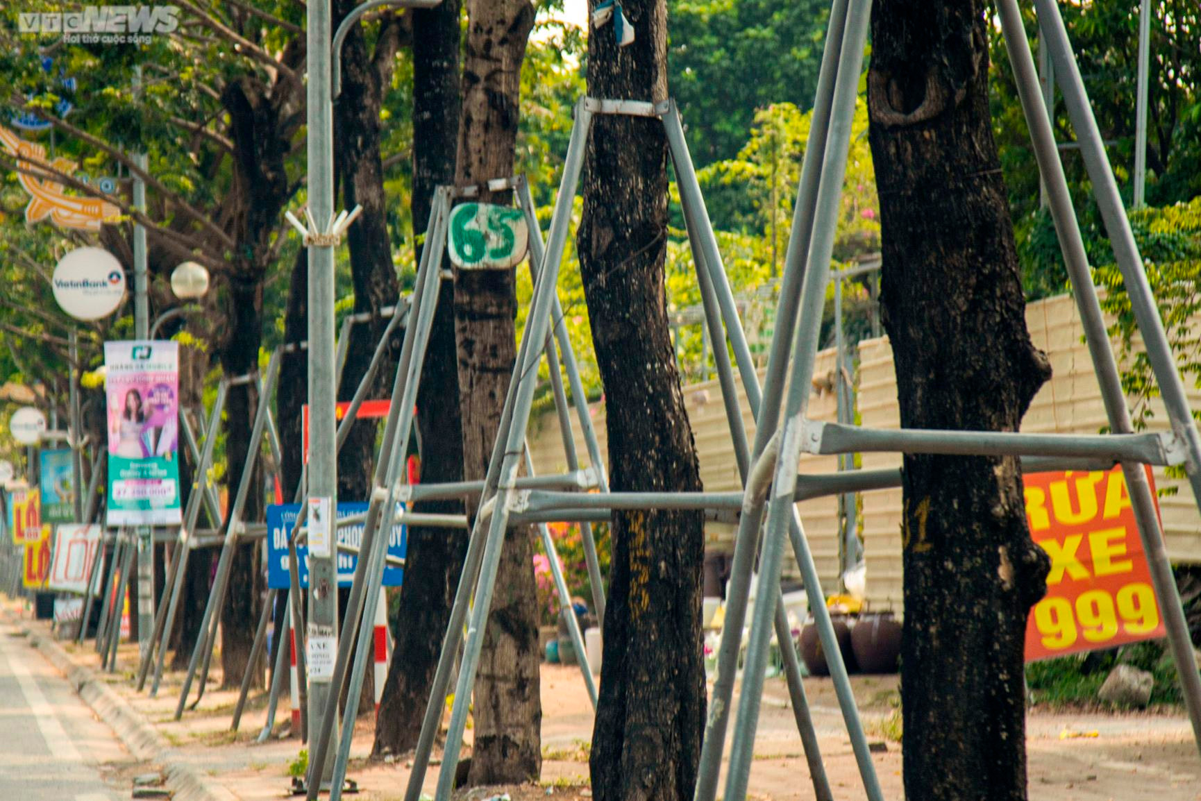 Xót xa 'gông cùm' sắt siết chặt hàng cây xanh đang phát triển - 13