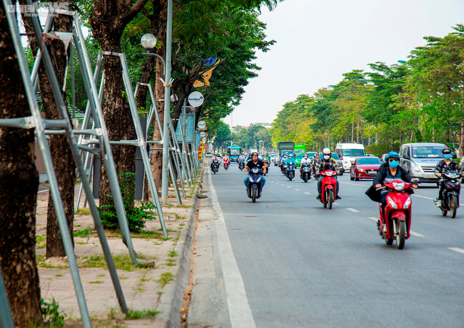 Xót xa 'gông cùm' sắt siết chặt hàng cây xanh đang phát triển - 2