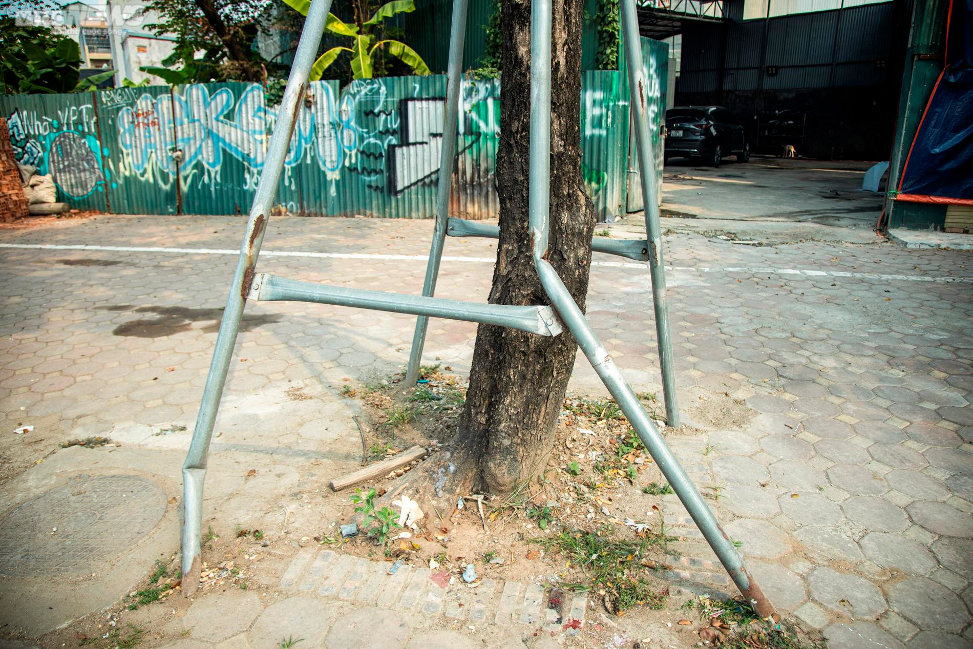 Xót xa 'gông cùm' sắt siết chặt hàng cây xanh đang phát triển - 5