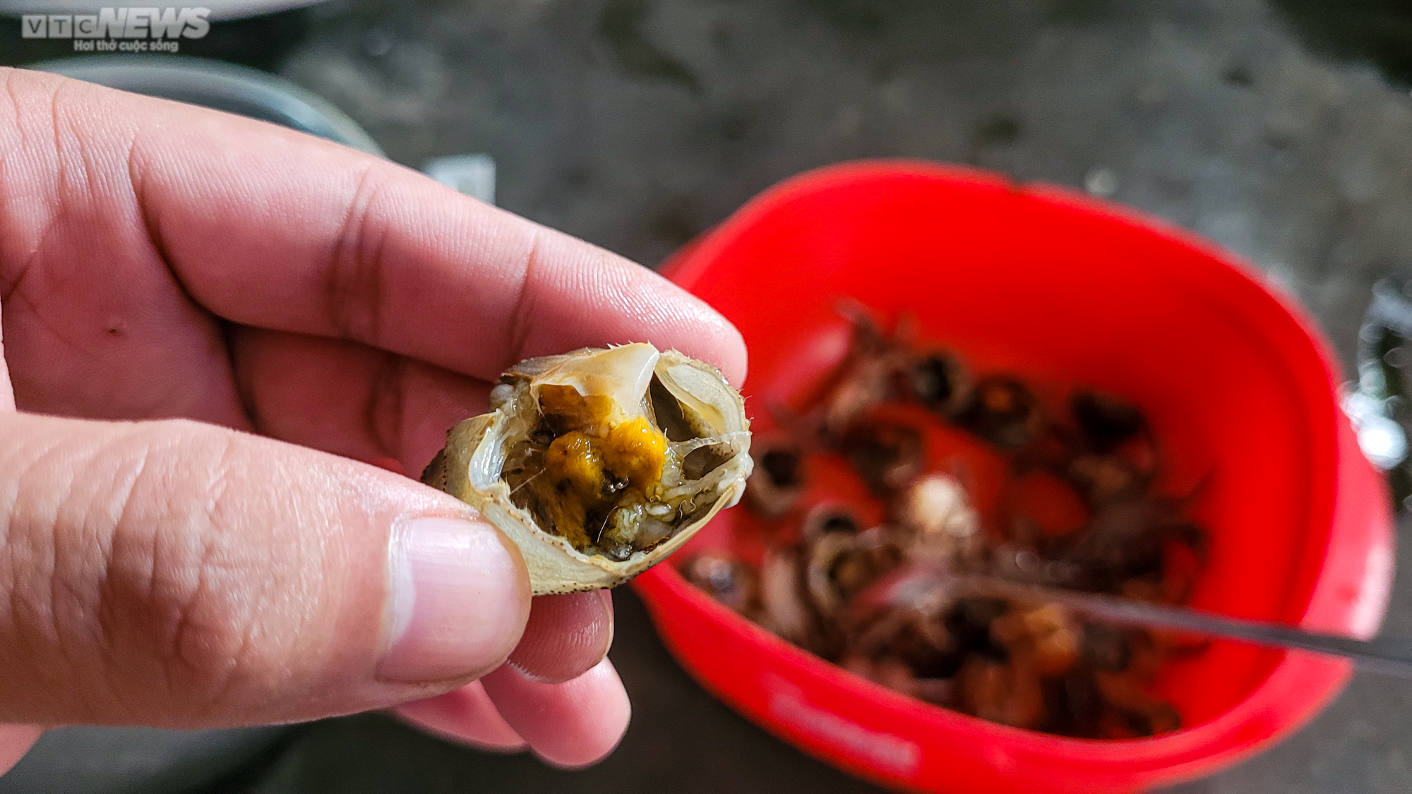 Người Hà Tĩnh đội đèn, bì bõm săn cua đồng sau mùa lũ - 18