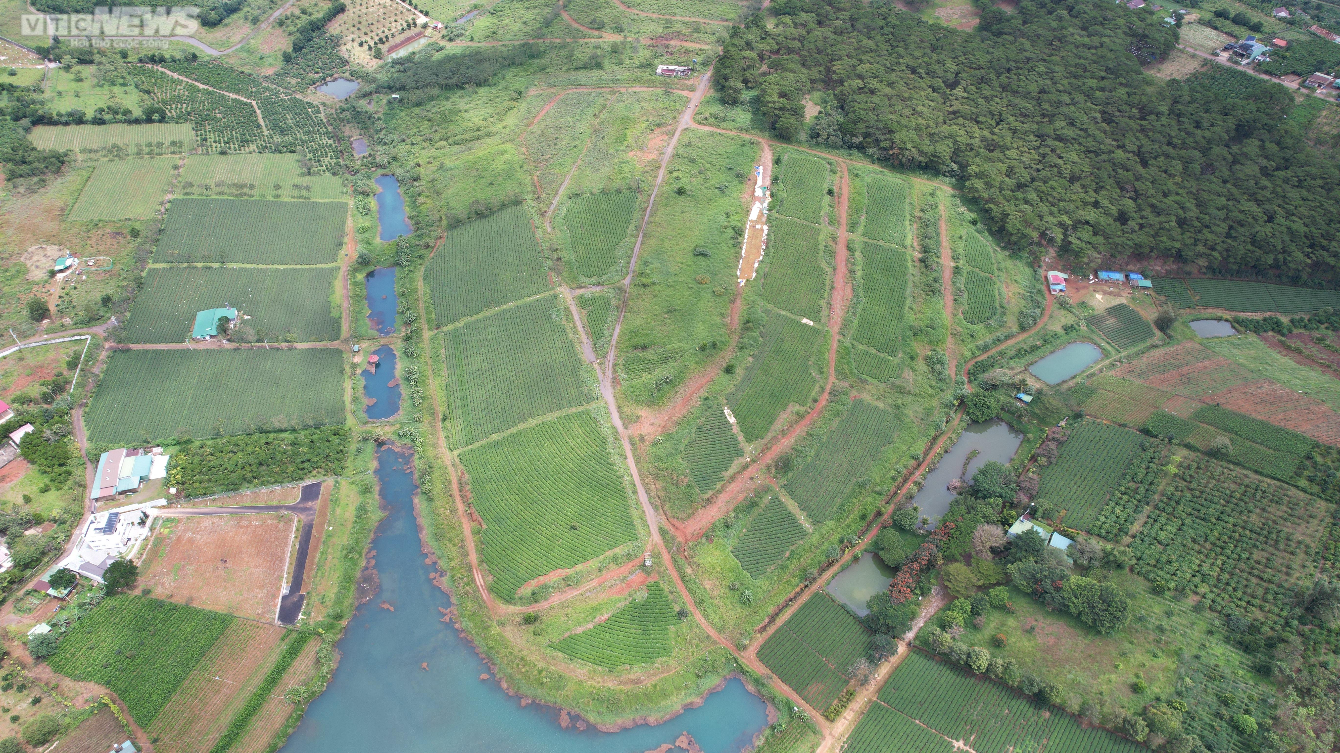 Nhiều 'siêu dự án' hoang hóa, không bóng người ở Lâm Đồng - 15