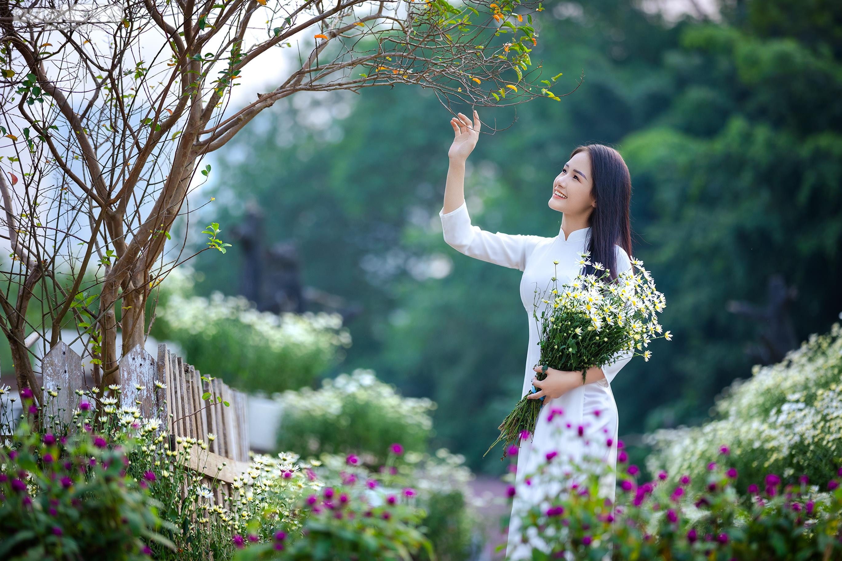 Thiếu nữ Hà thành khoe dáng bên cánh đồng cúc họa mi nở rộ - 10