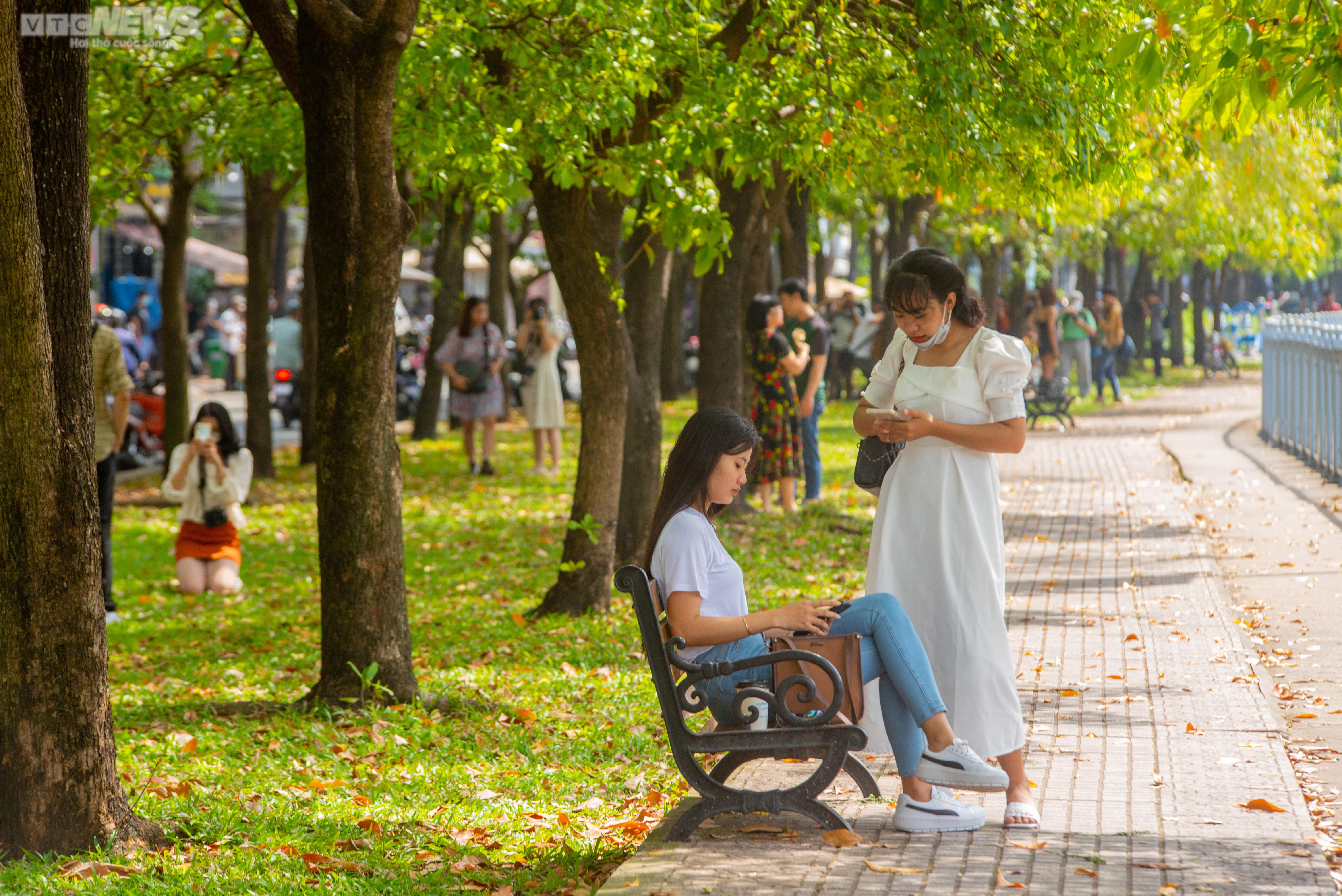 Nhiều người đua nhau ‘check-in cung đường mùa thu' ở TP.HCM - 6
