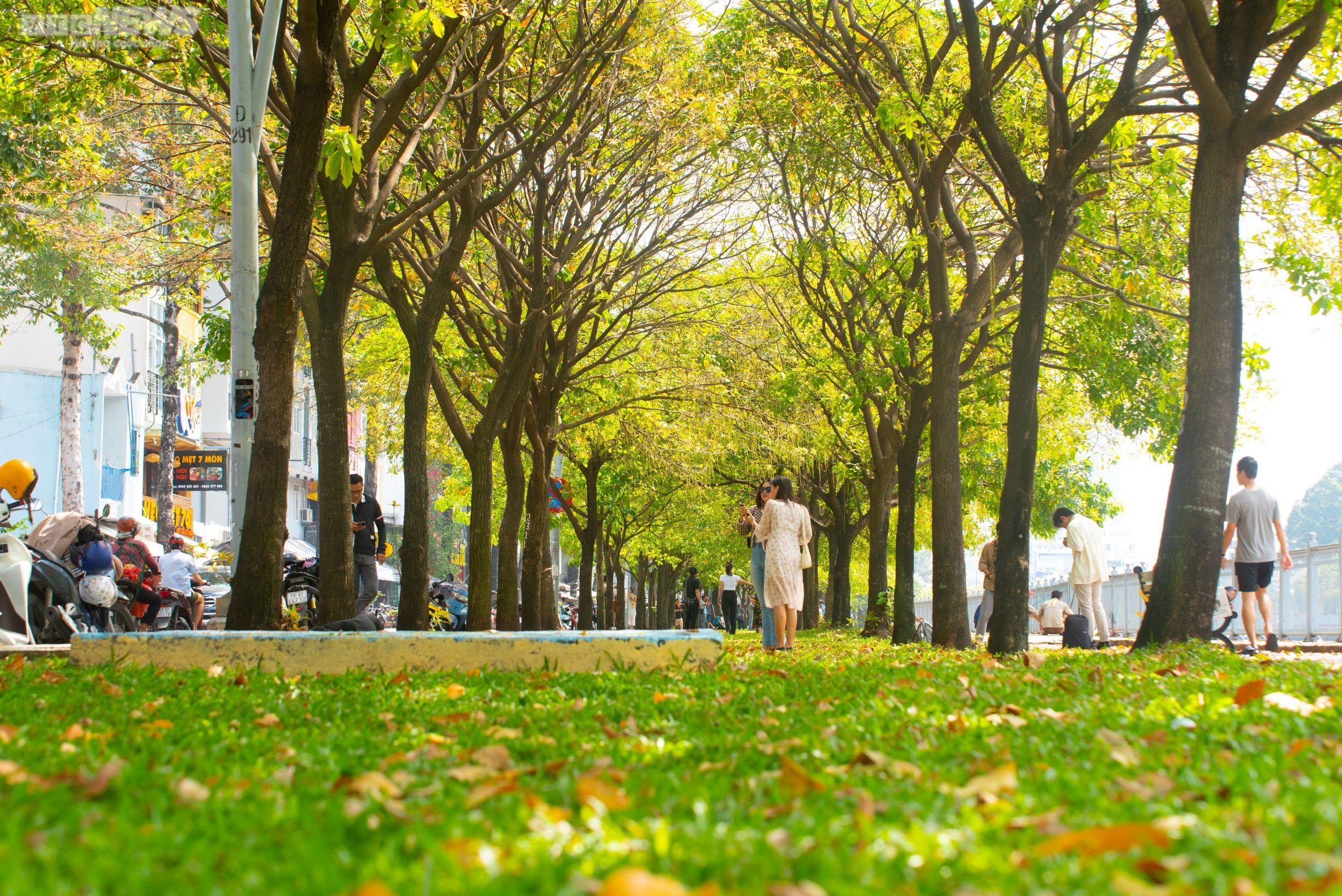 Nhiều người đua nhau ‘check-in cung đường mùa thu' ở TP.HCM - 11