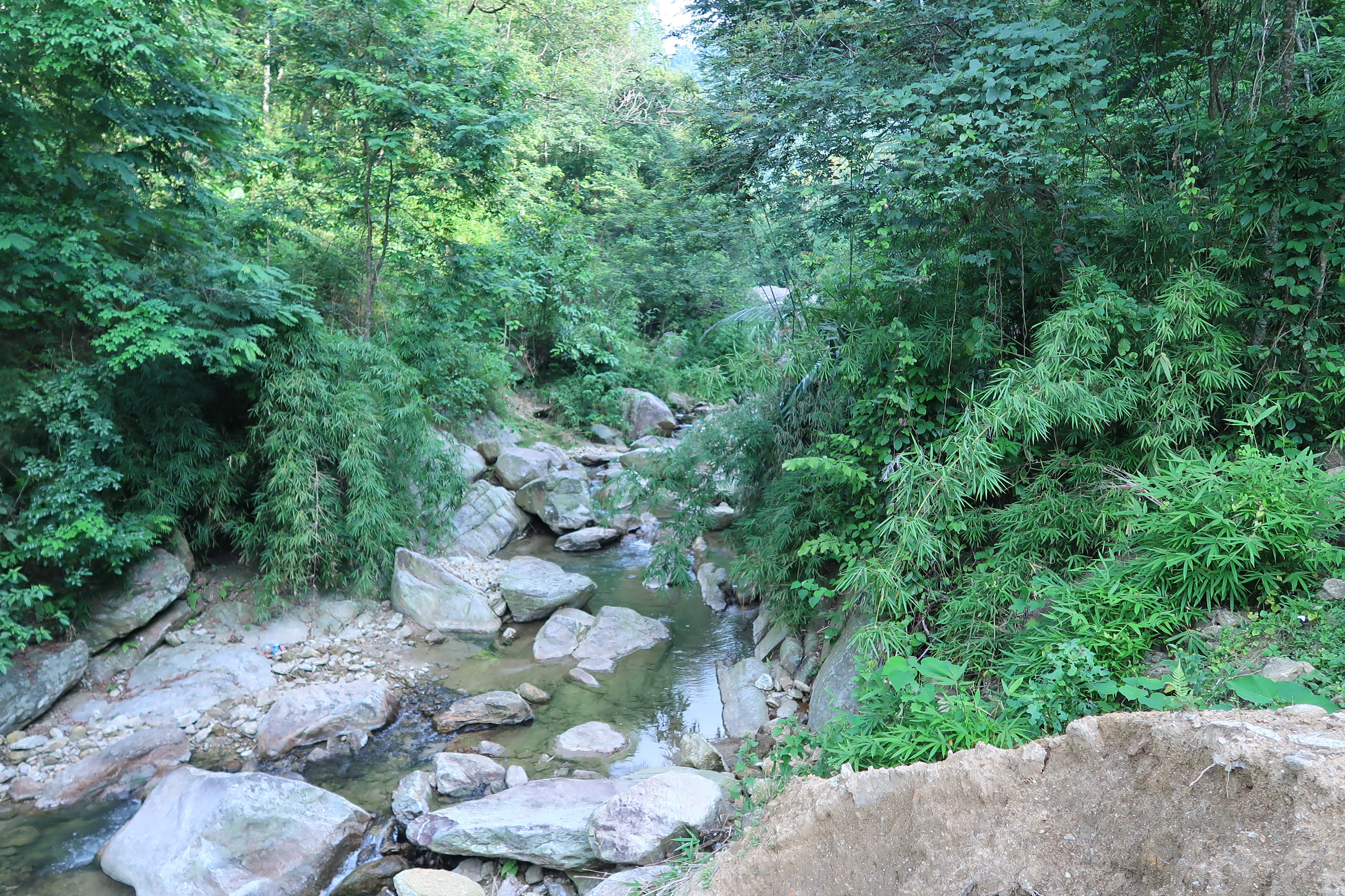 Tìm lại dấu thiêng ‘Hùm xám’: Hang Đề Thám ở đâu? - 3