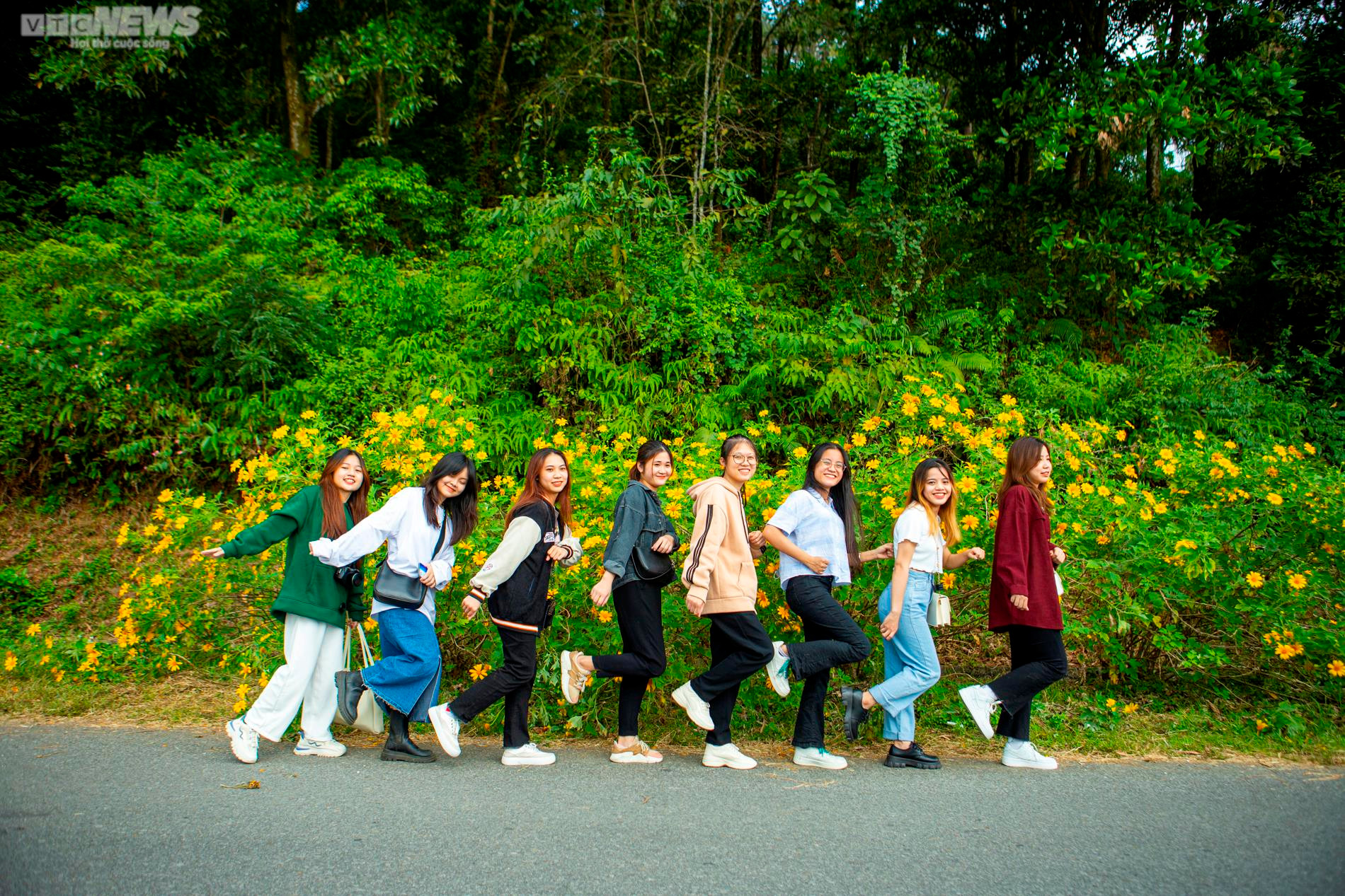 Giới trẻ nô nức check in thiên đường hoa dã quỳ tuyệt đẹp ở Thủ đô - 7