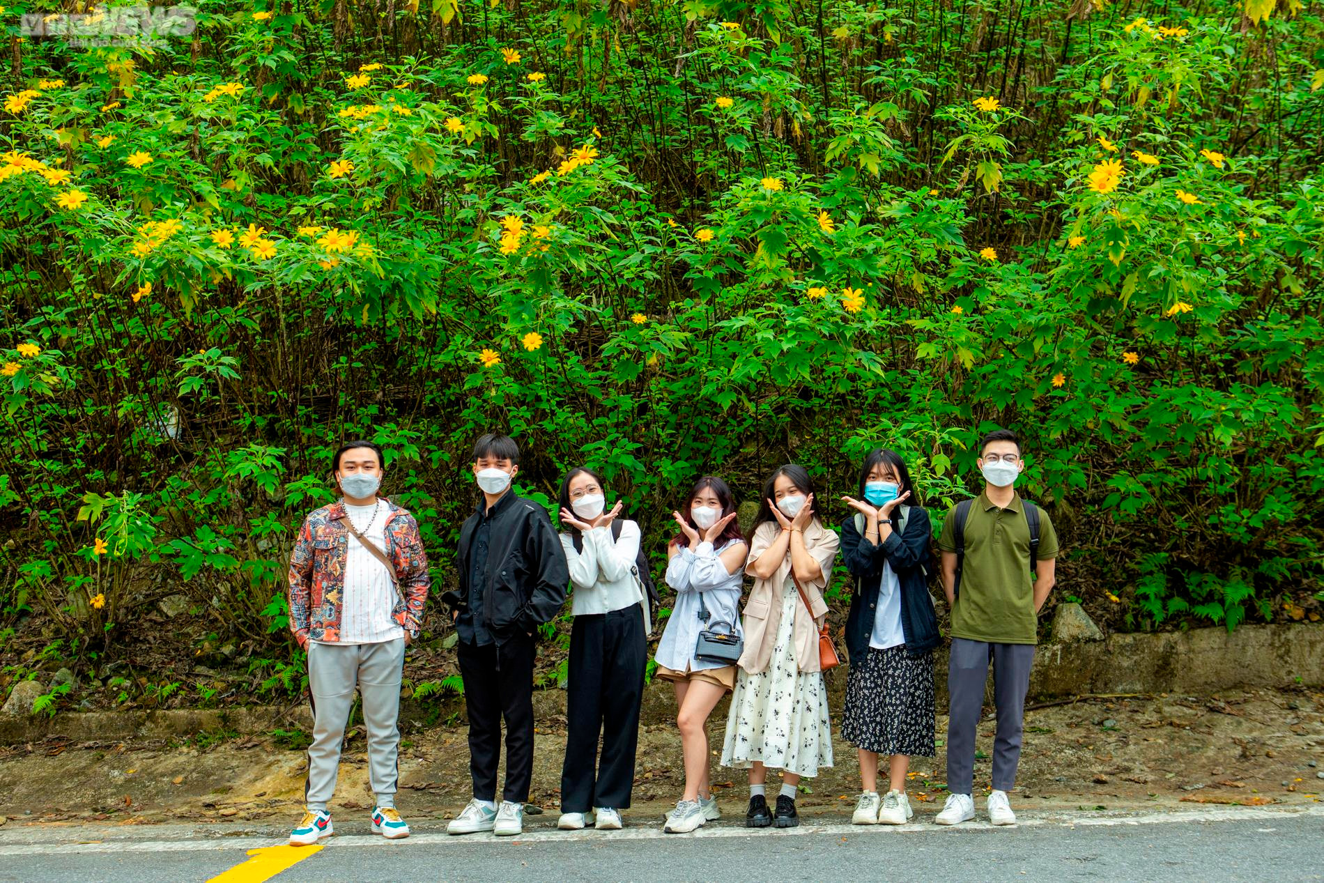 Giới trẻ nô nức check in thiên đường hoa dã quỳ tuyệt đẹp ở Thủ đô - 8