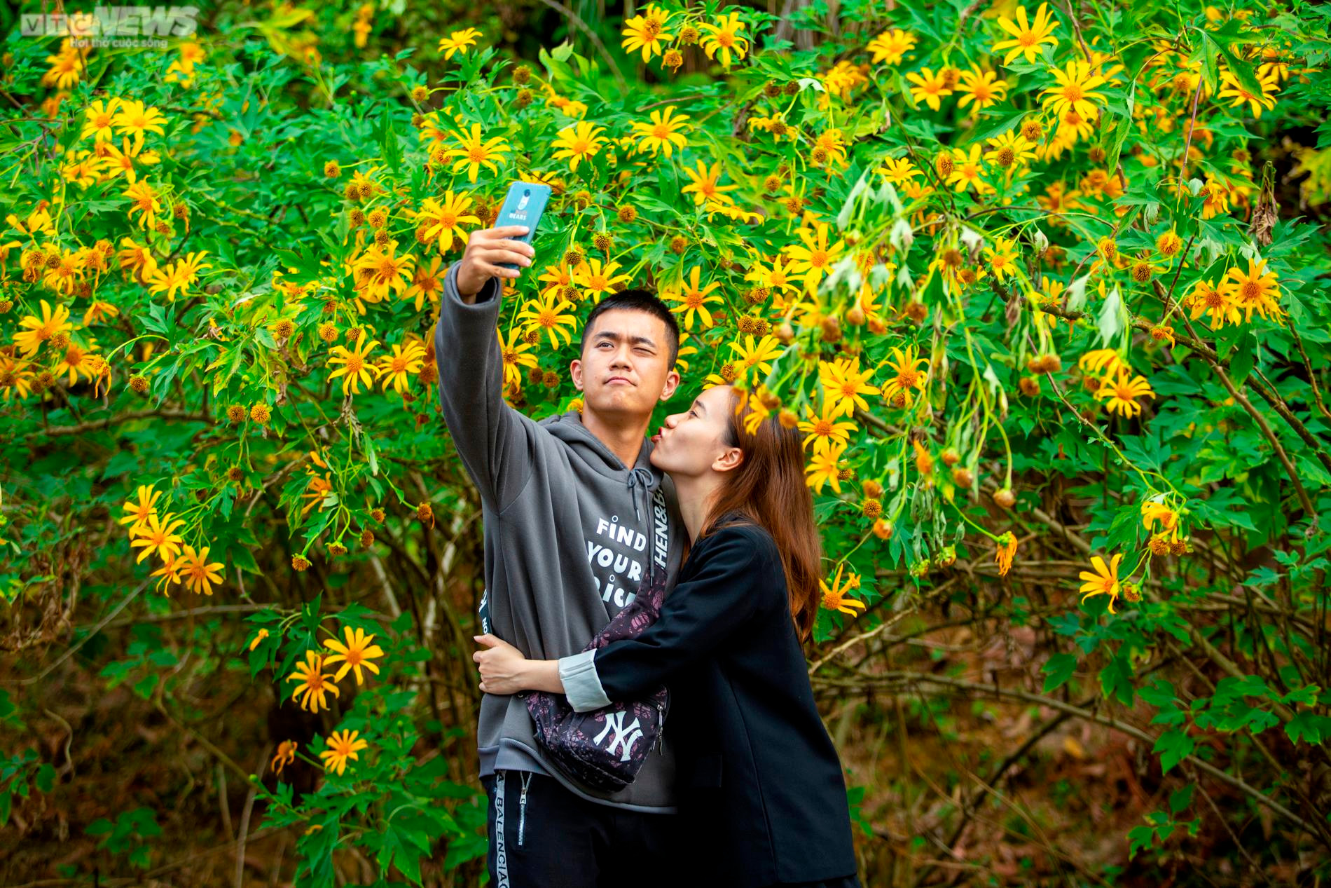 Giới trẻ nô nức check in thiên đường hoa dã quỳ tuyệt đẹp ở Thủ đô - 12
