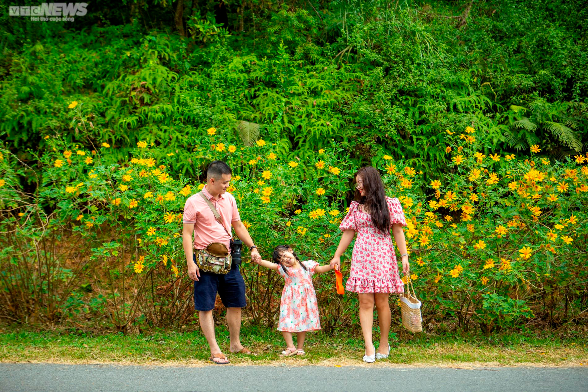 Giới trẻ nô nức check in thiên đường hoa dã quỳ tuyệt đẹp ở Thủ đô - 10