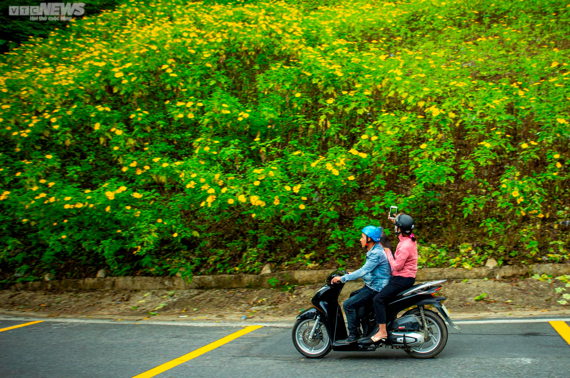 Giới trẻ nô nức check in thiên đường hoa dã quỳ tuyệt đẹp ở Thủ đô - 13