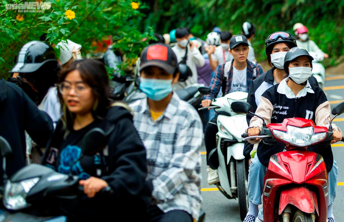 Giới trẻ nô nức check in thiên đường hoa dã quỳ tuyệt đẹp ở Thủ đô - 6