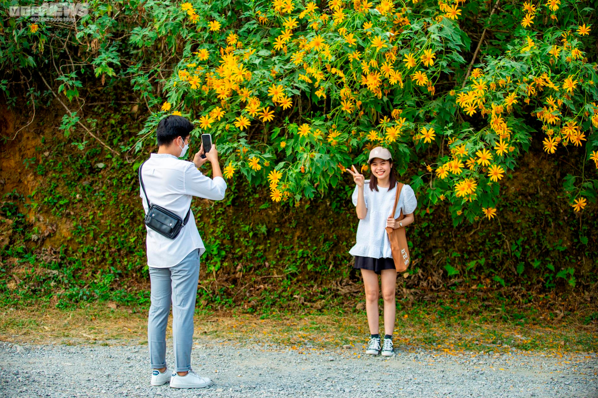 Giới trẻ nô nức check in thiên đường hoa dã quỳ tuyệt đẹp ở Thủ đô - 4