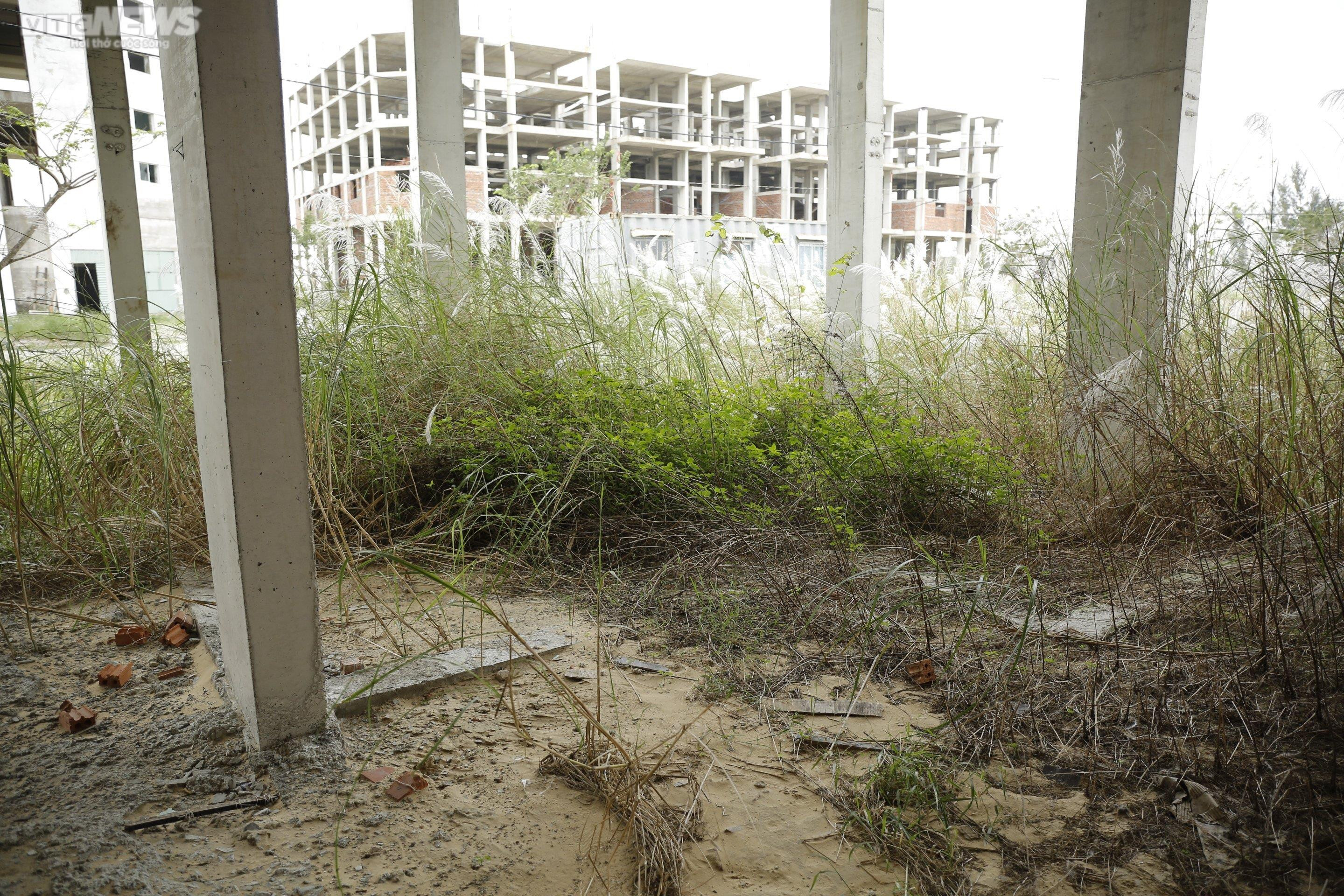 Dang dở dự án nhà ở dành cho người có thu nhập thấp - 7