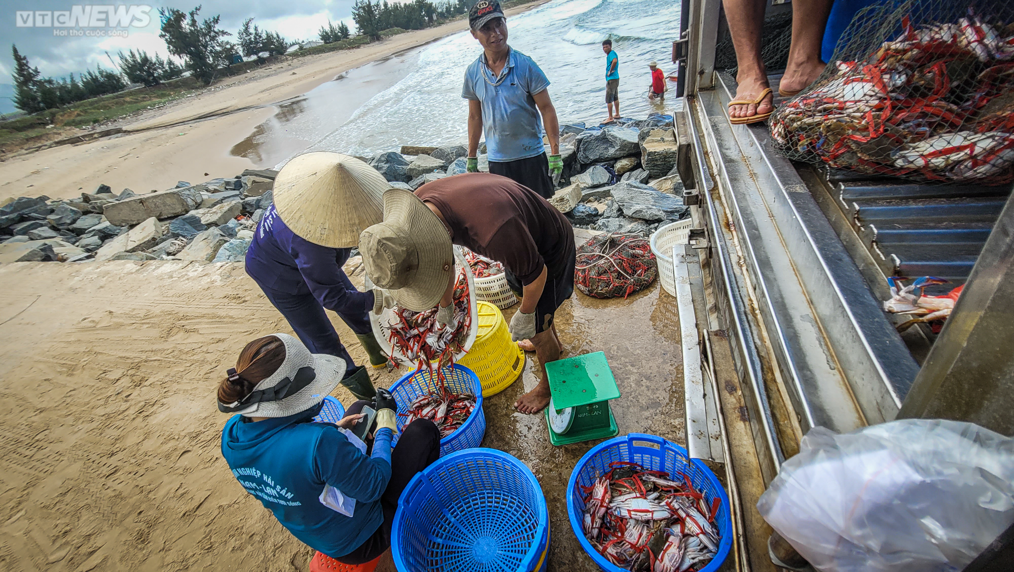 Trúng đậm ghẹ, ngư dân Hà Tĩnh bỏ túi hàng chục triệu đồng - 7