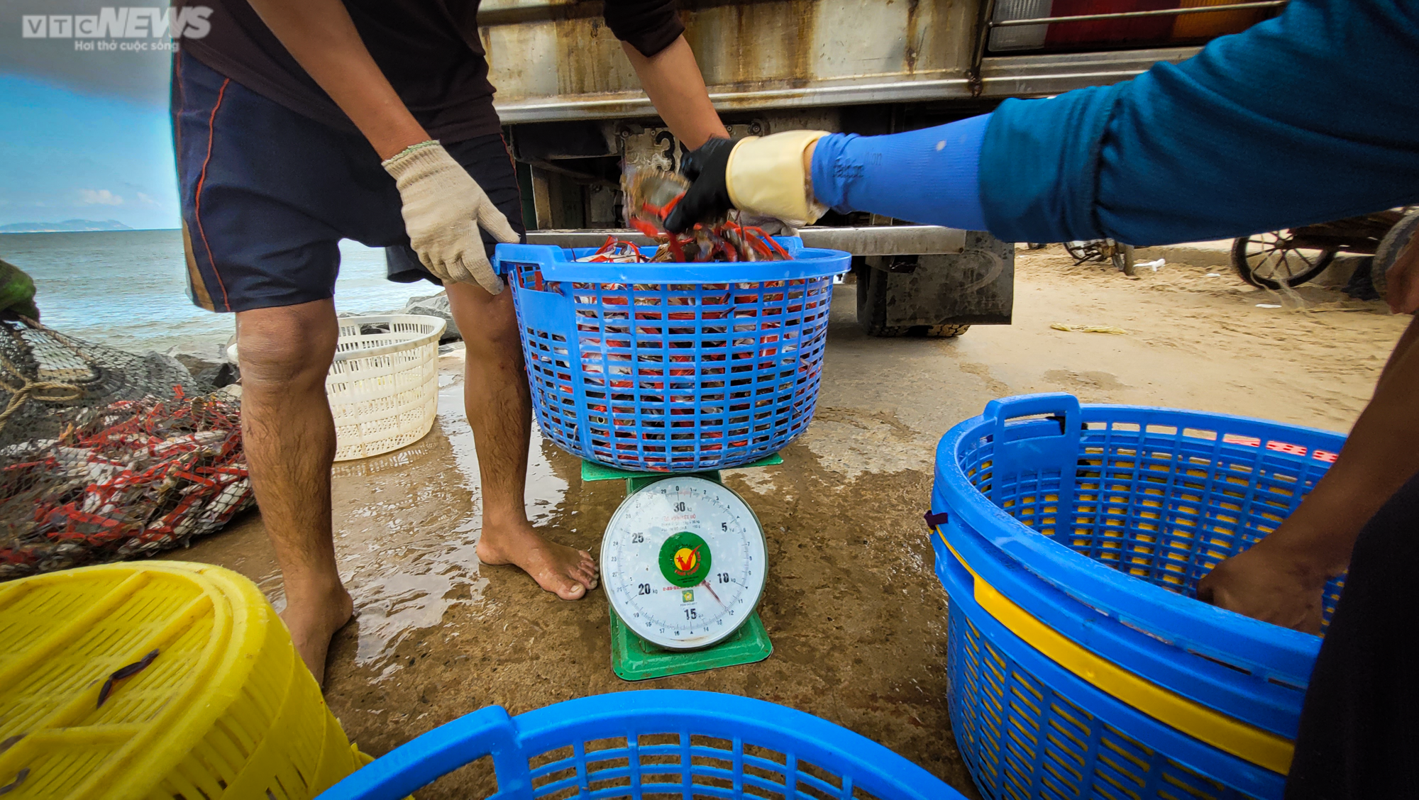 Trúng đậm ghẹ, ngư dân Hà Tĩnh bỏ túi hàng chục triệu đồng - 9