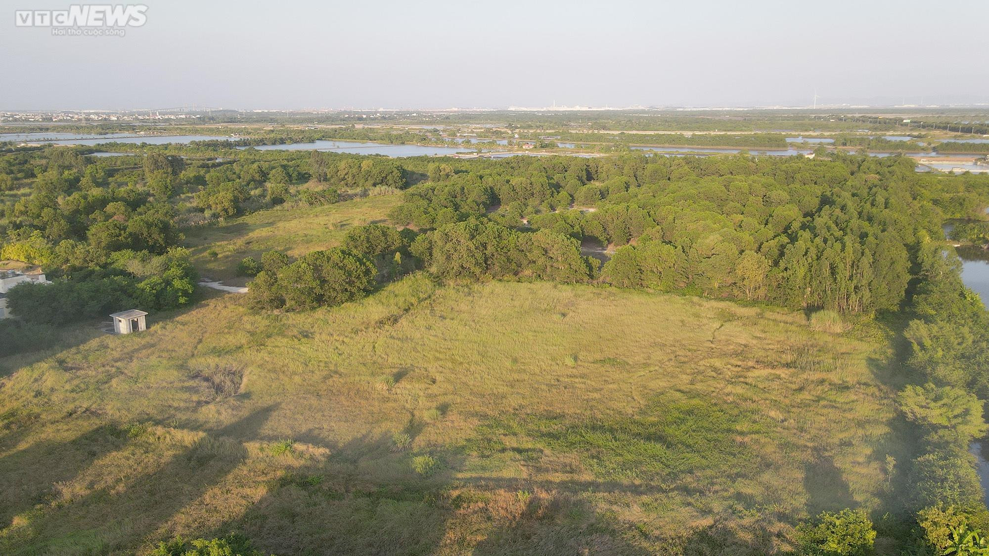 Khu đô thị từng là đại bản doanh đánh bạc công nghệ cao ở Hải Phòng giờ ra sao? - 14